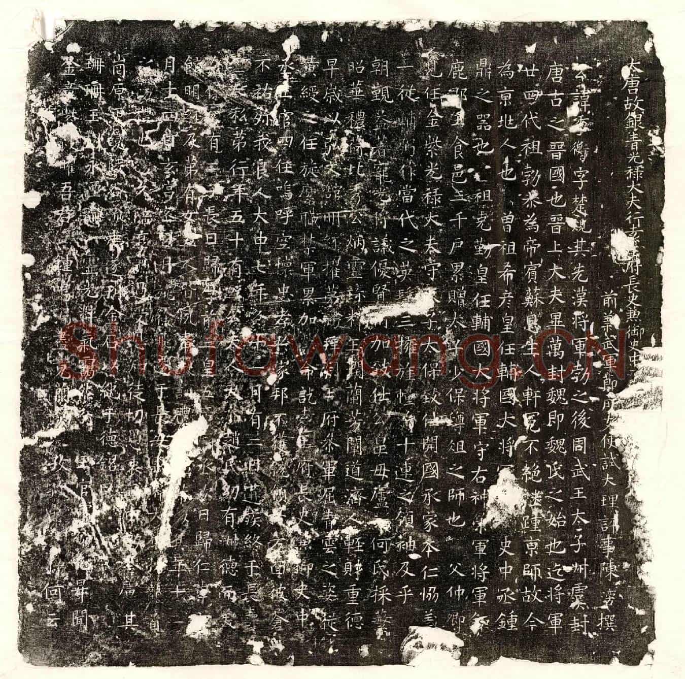 唐万季衡墓誌(大唐故银青光禄大夫行袁王府长史兼御史中【/】)