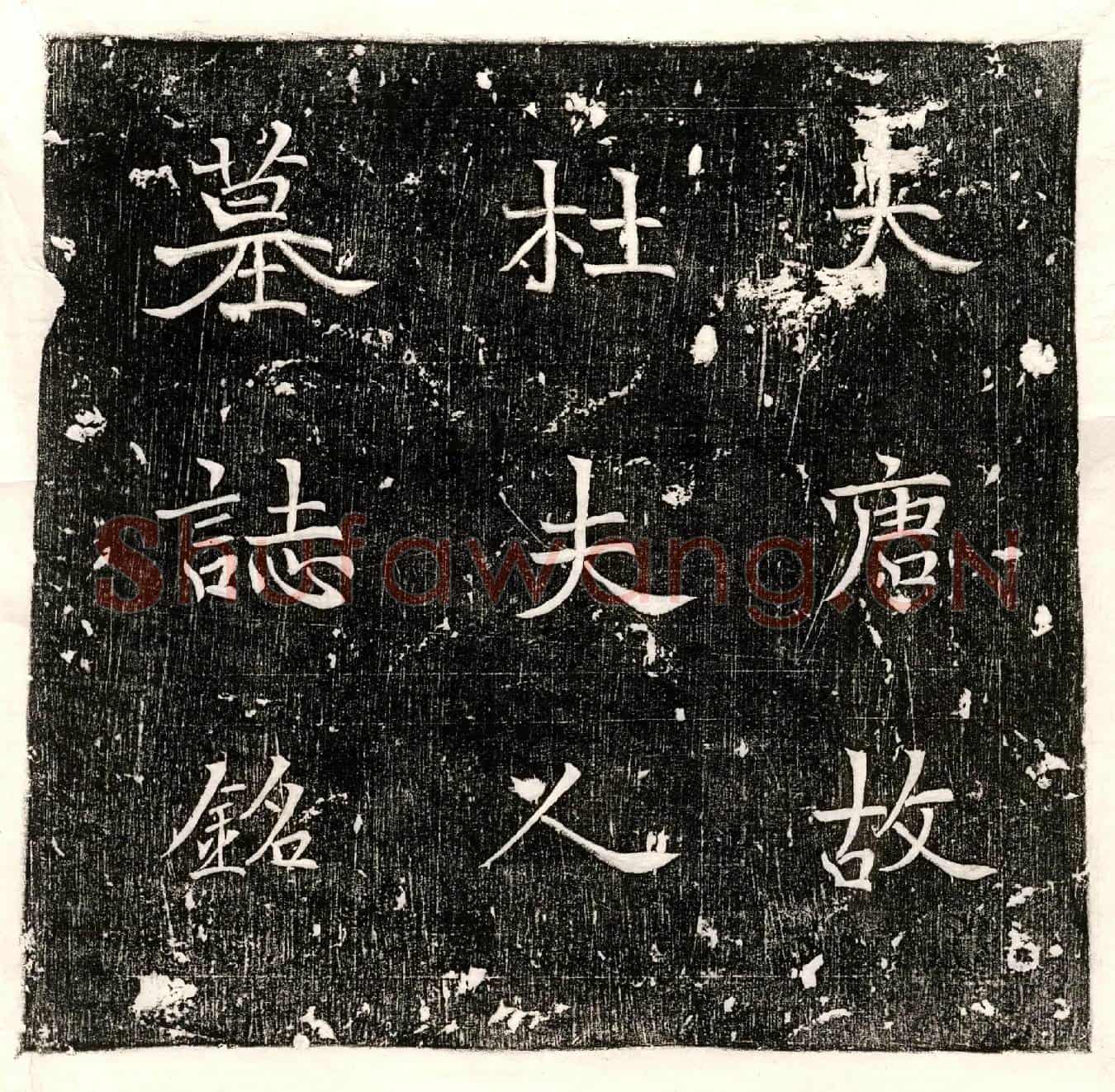 唐杜谌女杜氏墓誌(□唐朝散大夫行益州蜀县令故夫人京兆杜氏墓誌)