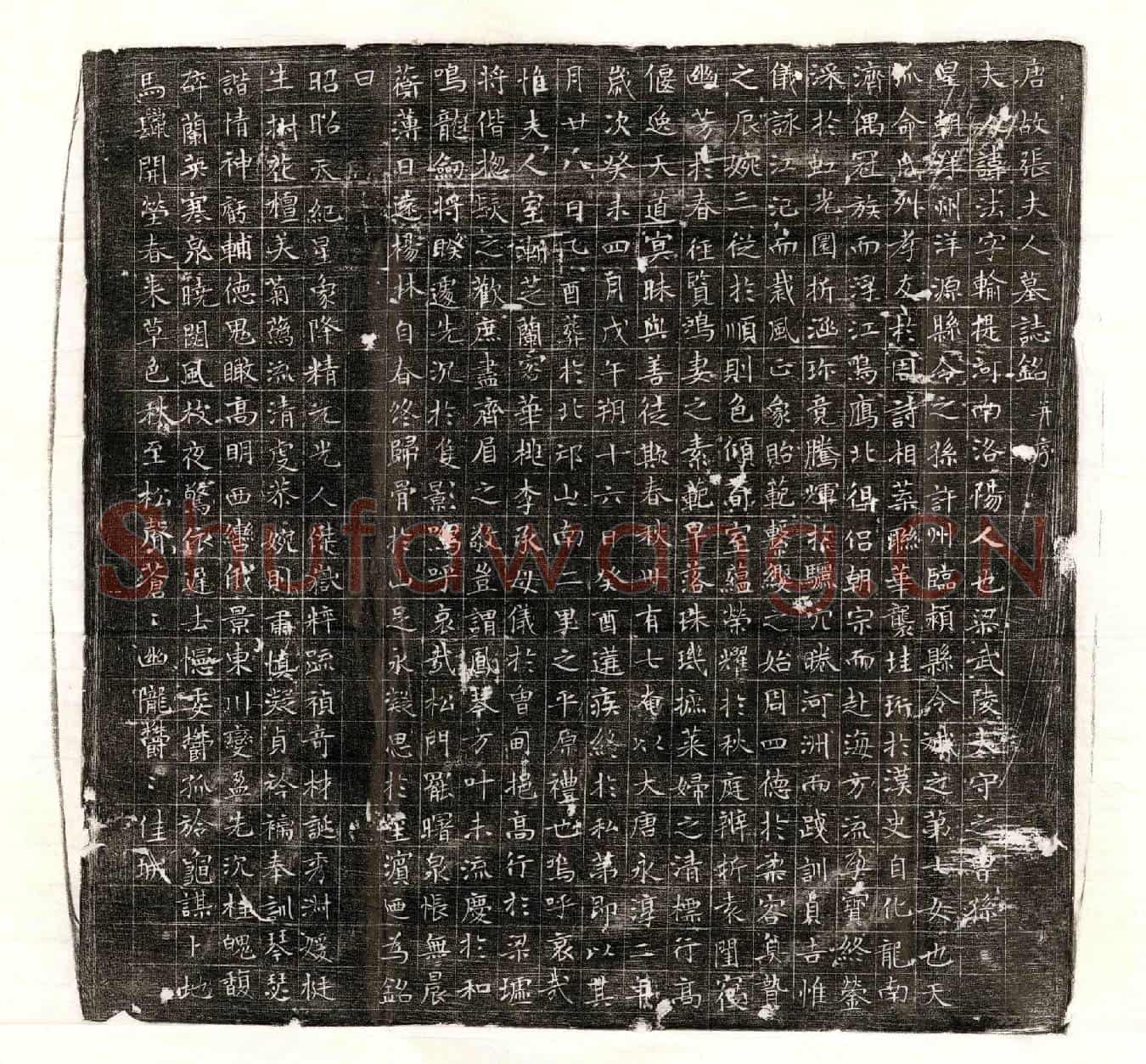 唐张法墓誌(唐故张夫人墓誌铭并序)