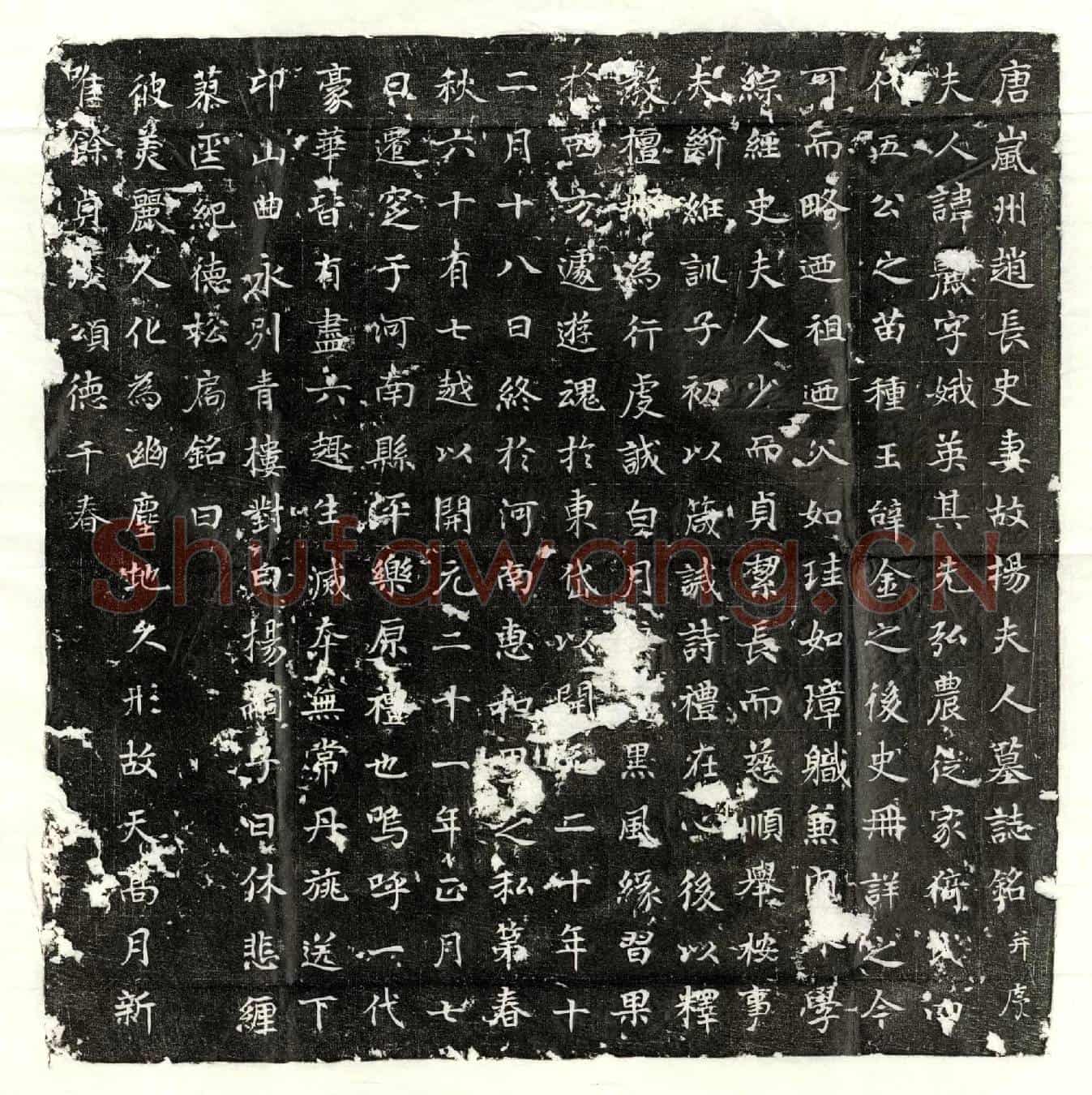 唐赵君妻杨丽墓誌(唐岚州赵长史妻故杨夫人墓誌铭并序)