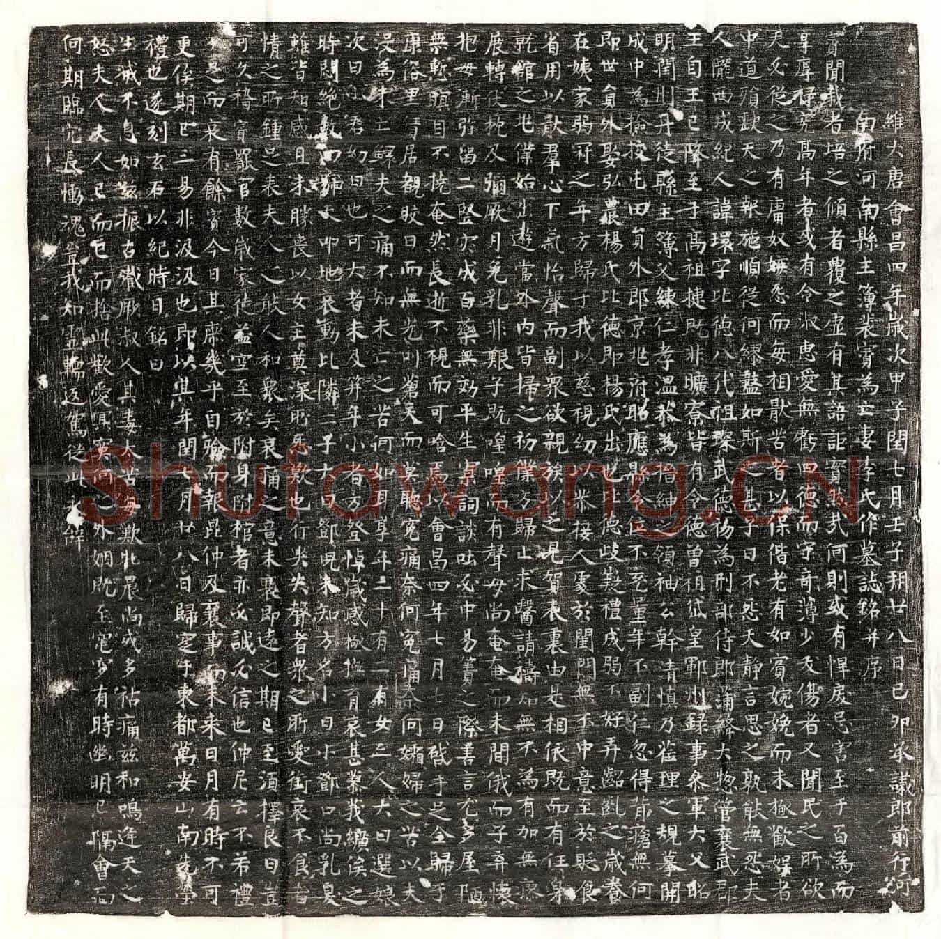 唐裴賨妻李环墓誌(维大唐会昌四年岁次甲子闰七月壬子朔廿八日己卯承议郎前行河南府河南县主簿裴賨为亡妻李氏作墓誌铭并序)