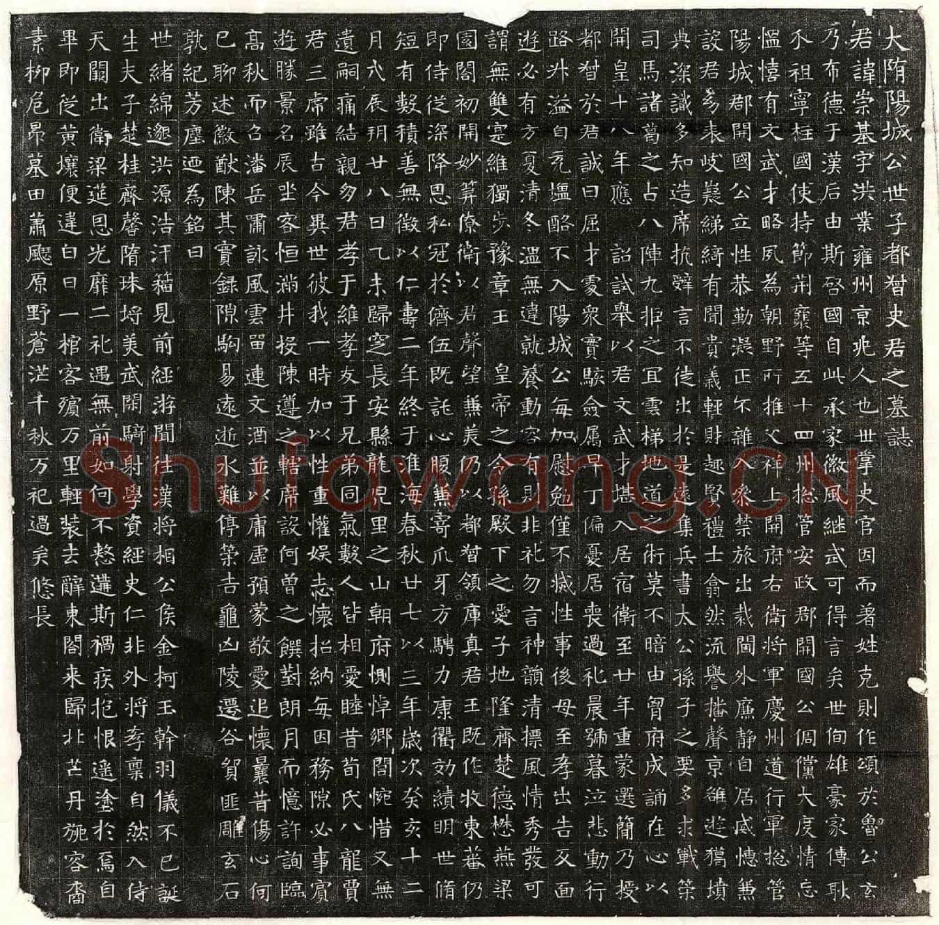 隋史崇基墓誌(大隋阳城公世子都督史君之墓誌)