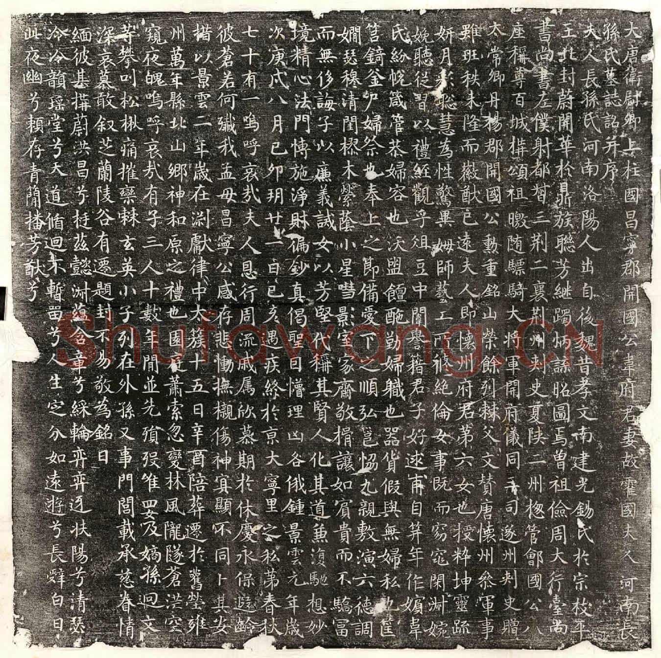 唐韦纪妻长孙氏墓誌(大唐卫尉卿上柱国昌宁郡开国公韦府君妻故霍国夫人河南长孙氏墓誌铭并序)