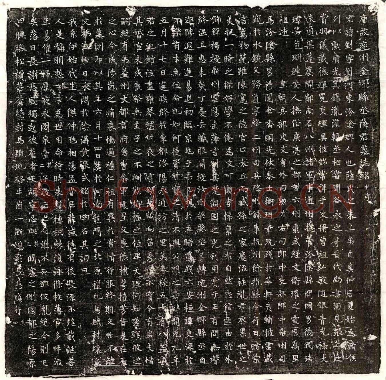 唐薛钊墓誌(唐故兖州金乡县丞薛君墓誌铭并序)