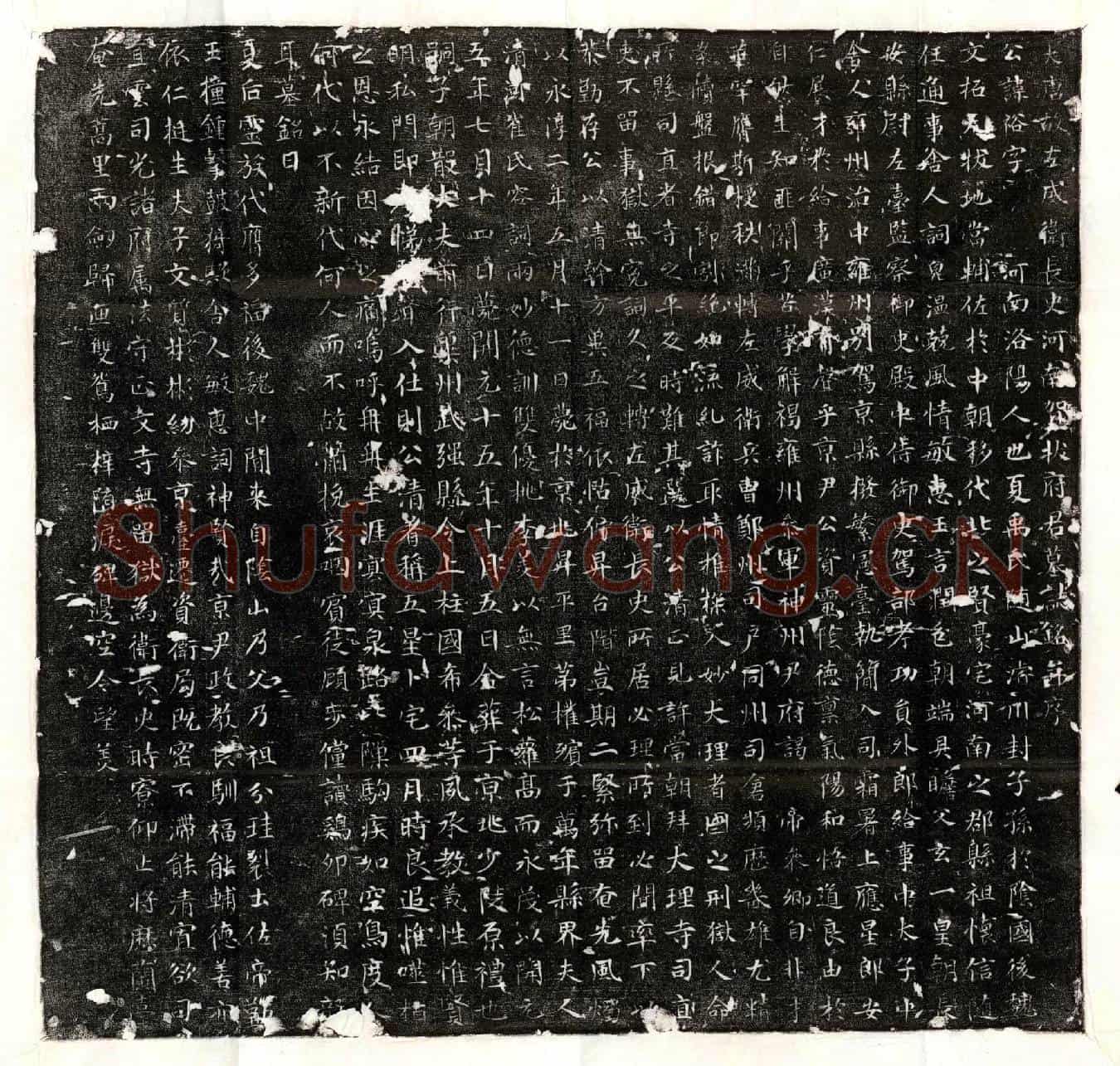 唐贺拔裕墓誌(大唐故左威卫长史河南贺拔府君墓誌铭并序)