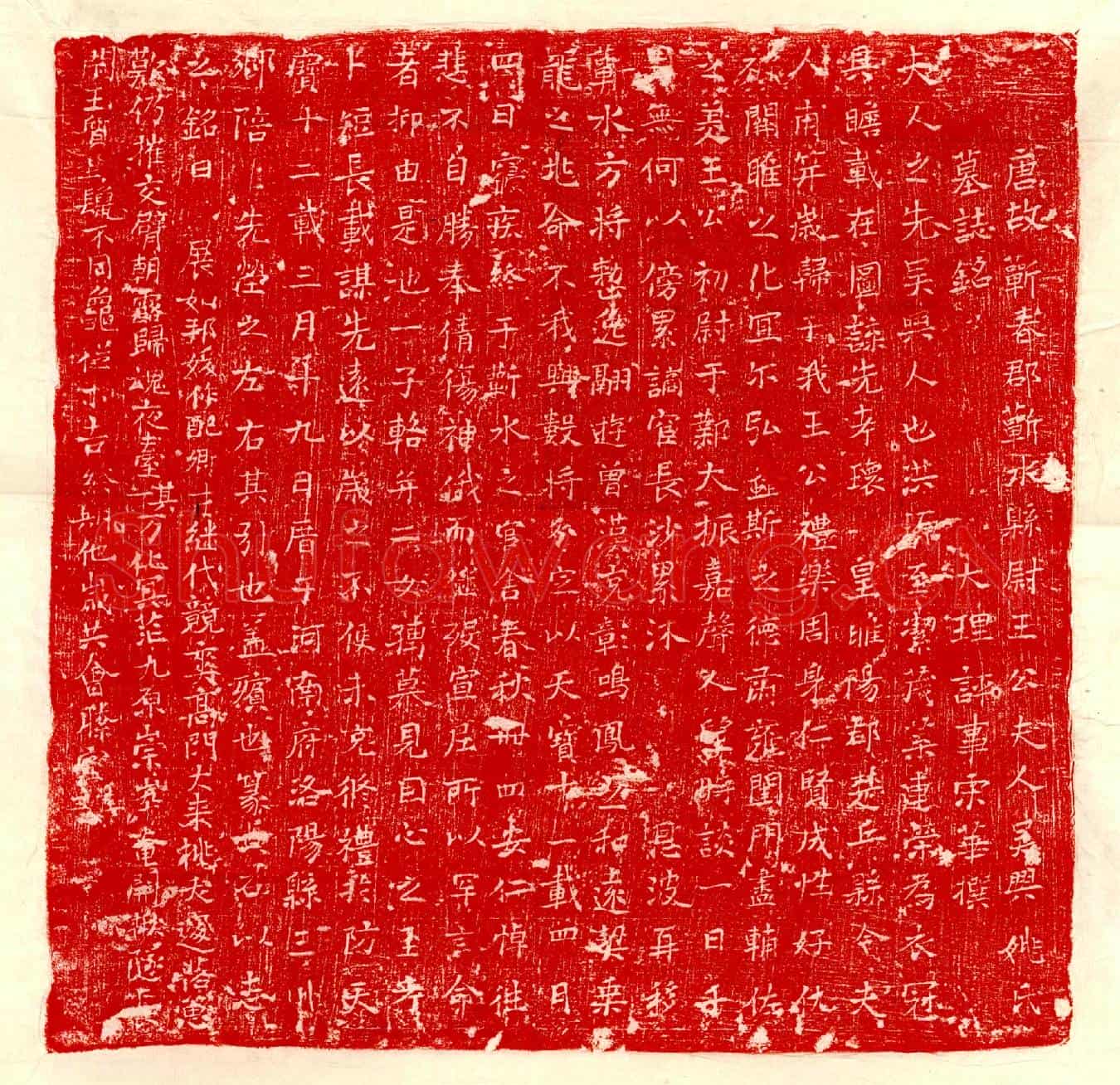 唐王君妻姚氏墓誌(唐故蕲春郡蕲水县尉王公夫人吴兴姚氏墓誌铭)
