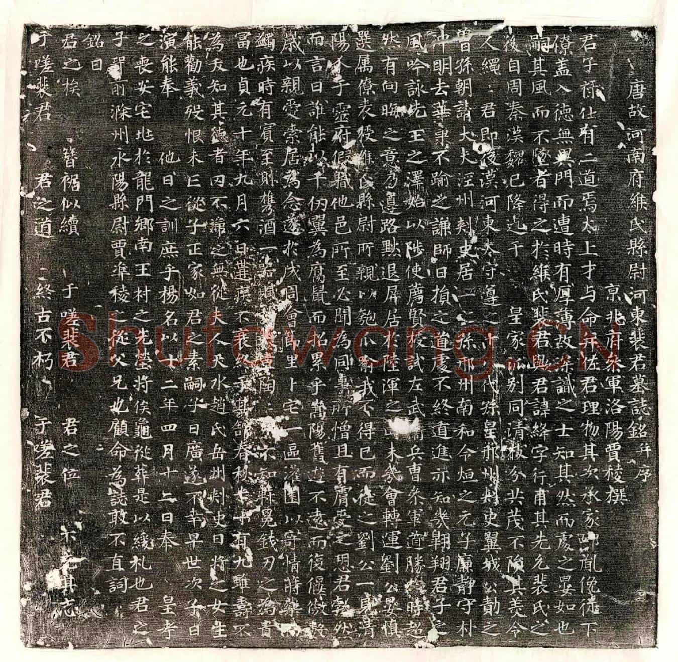 唐裴绛墓誌(唐故河南府缑氏县尉河东裴君墓誌铭并序)