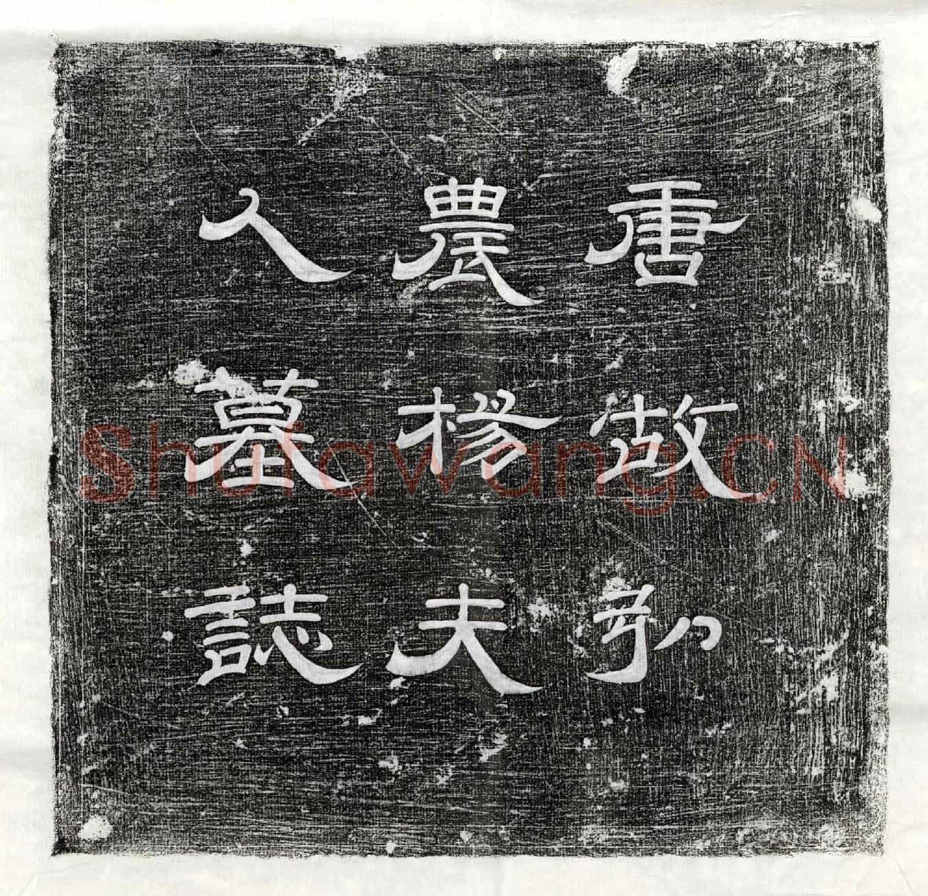 唐韩君妻杨氏墓誌(唐故弘农杨夫人墓誌铭并序)