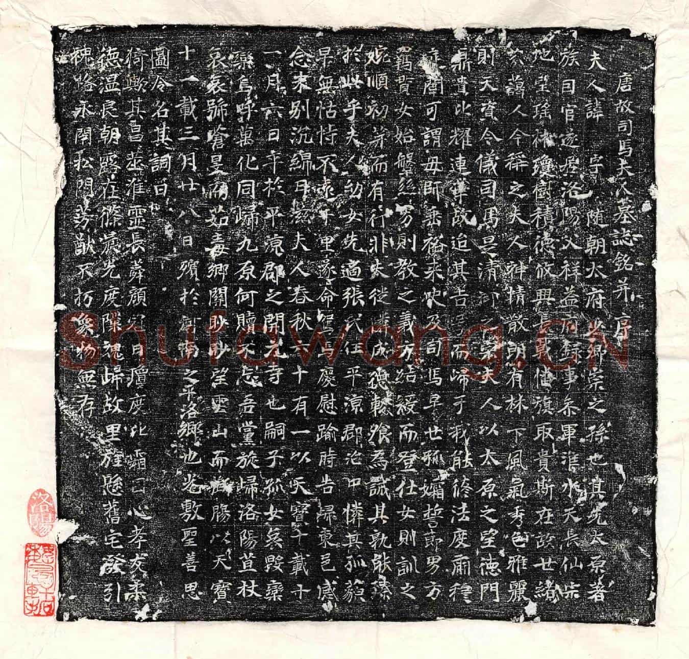 唐□君妻王氏墓誌(唐故司马夫人墓誌铭并序)