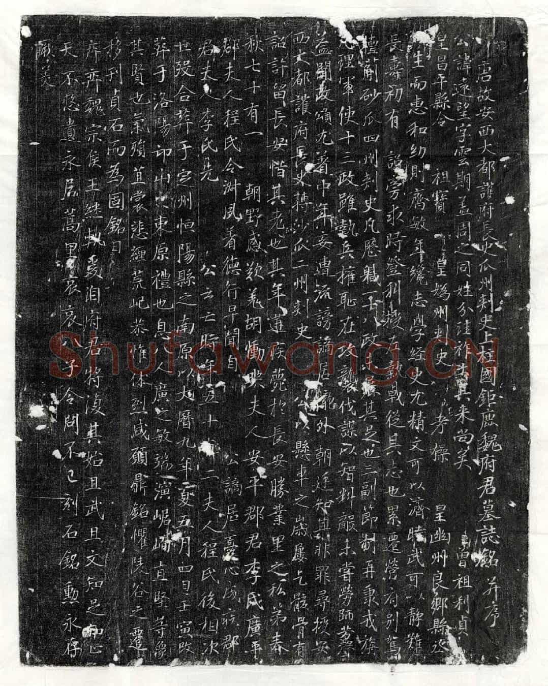 唐魏远望墓誌(唐故安西大都护府长史瓜州刺史上柱国鉅鹿魏府君墓誌铭并序)