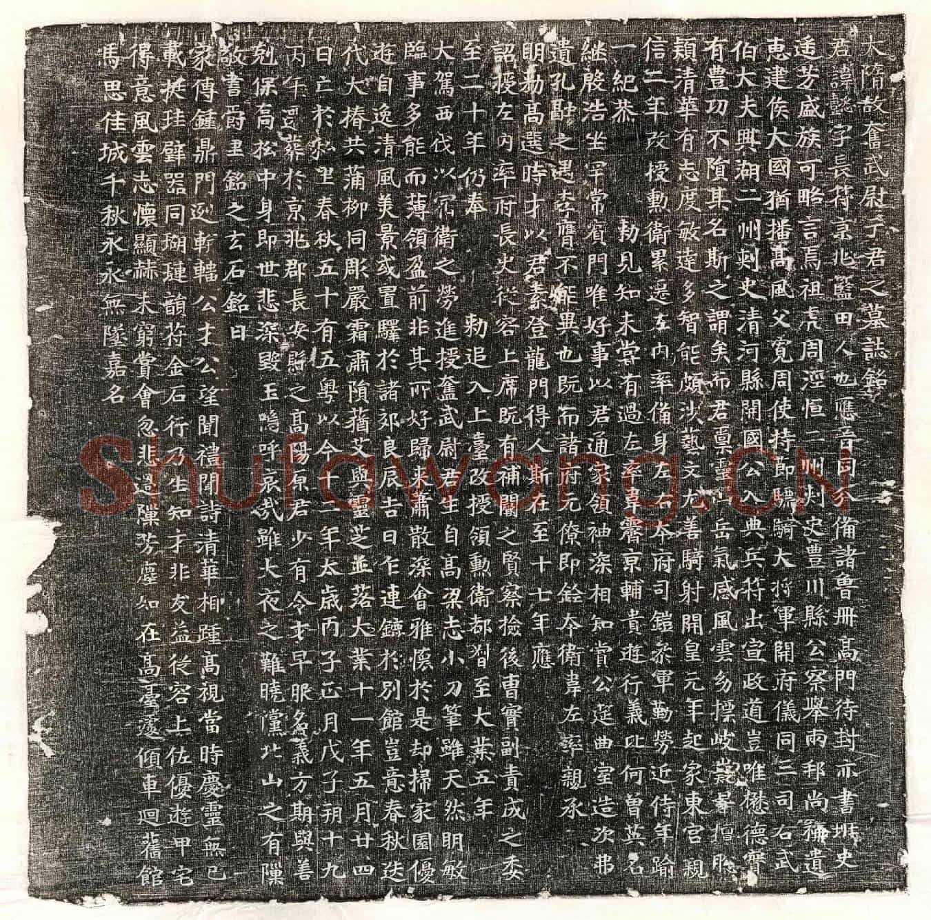 隋于懿墓誌(大隋故奋武尉于君之墓誌铭)