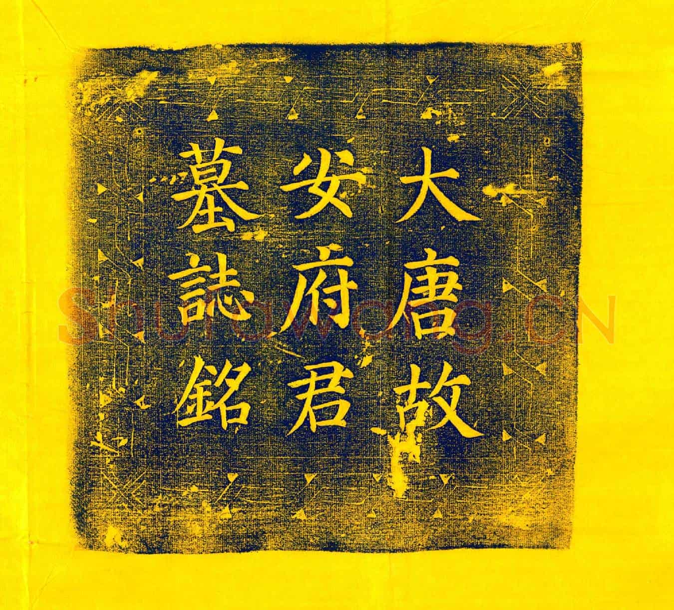 唐安义墓誌(唐故定安郡安府君墓誌铭并序)