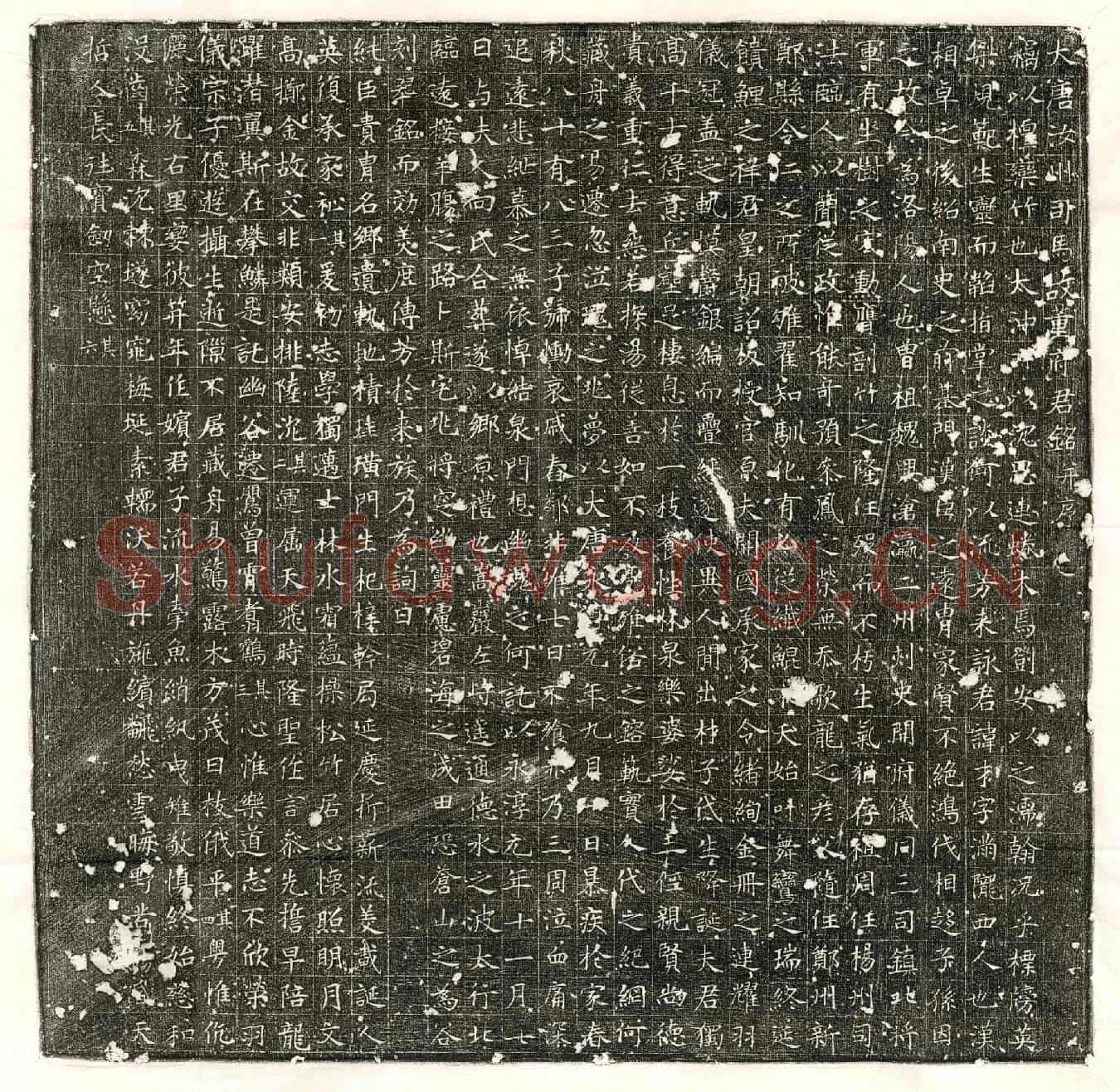 唐董才墓誌(大唐汝州司马故董府君铭并序)