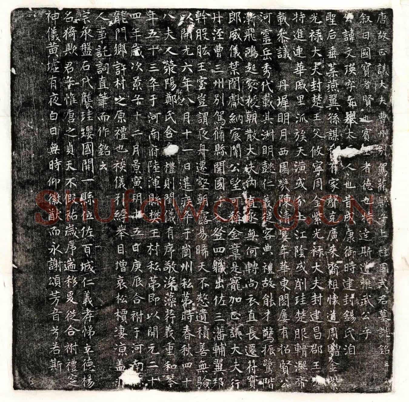 唐武文瑛墓誌(唐故正议大夫曹州别驾蓨县子上柱国武君墓誌铭并序)