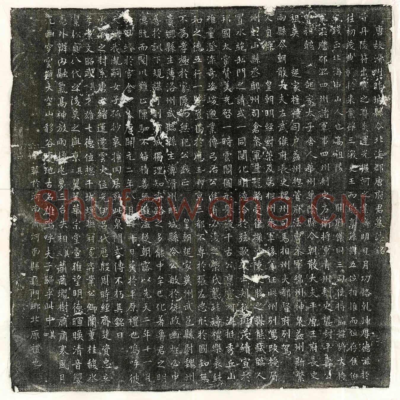 唐唐践正墓誌(唐故滑州昨城县令北海郡唐府君墓誌铭)