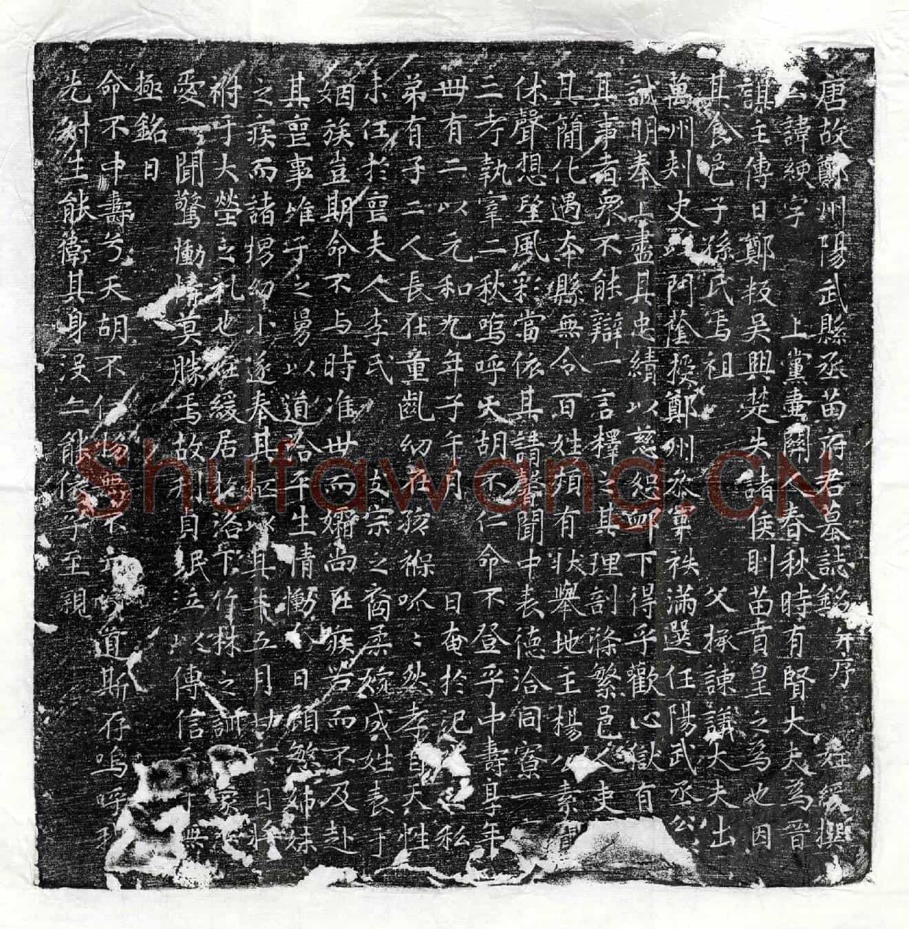 唐苗绠墓誌(唐故郑州阳武县丞苗府君墓誌铭并序)