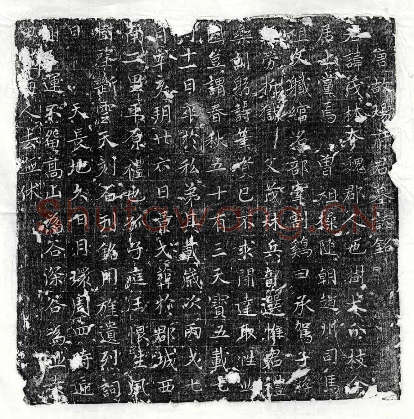 唐杨茂林墓誌(唐故杨府君墓誌铭)