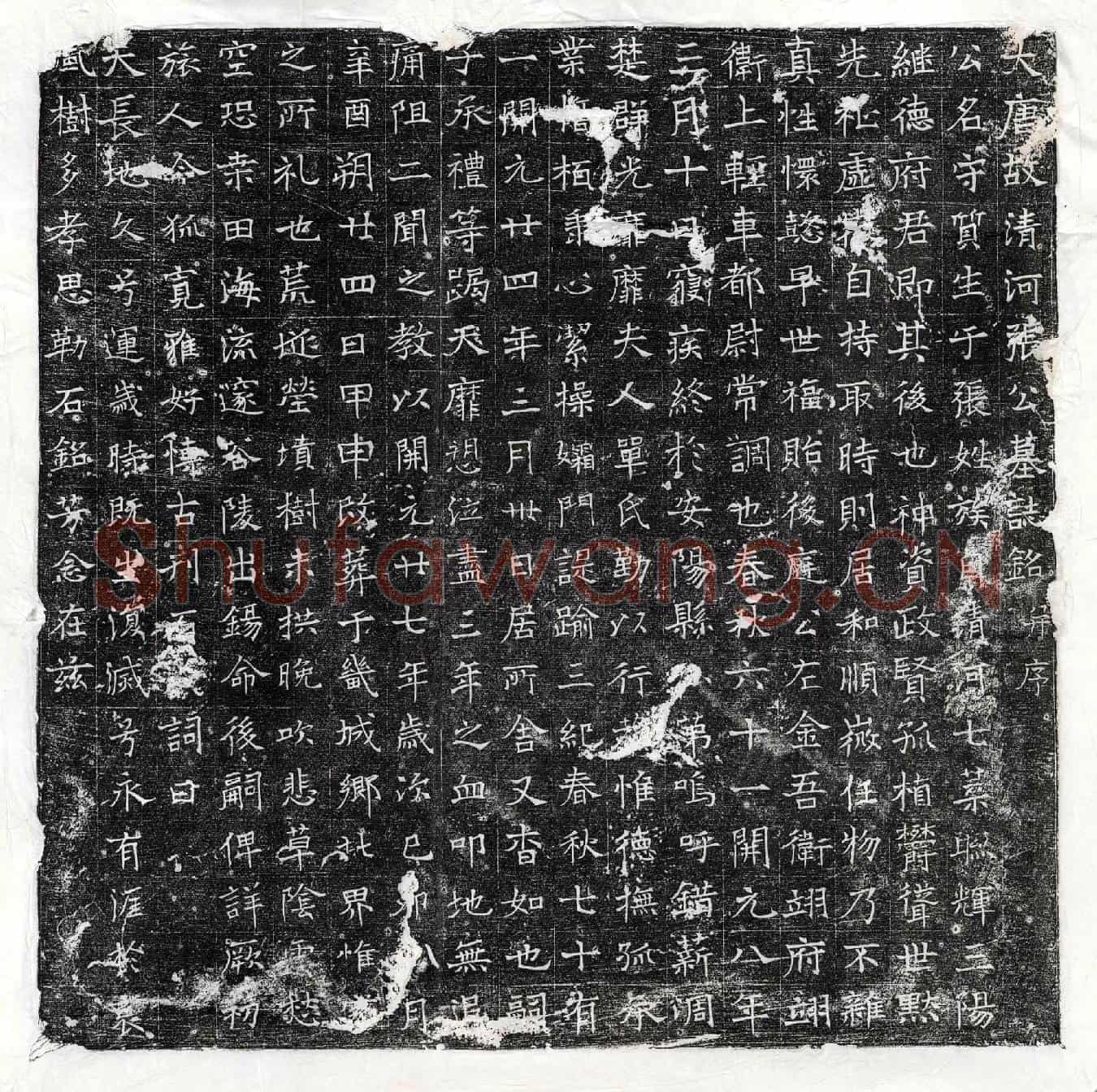 唐张守质墓誌(大唐故清河张公墓誌铭并序)