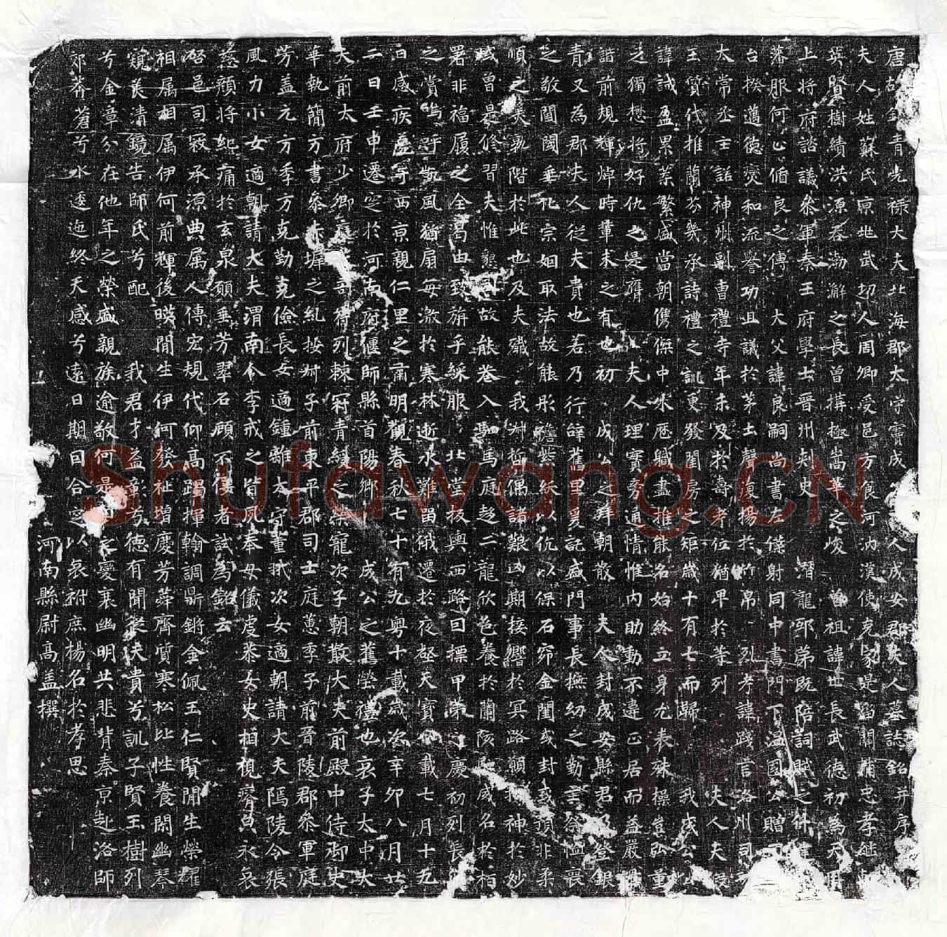唐窦诫盈妻苏氏墓誌(唐故银青光禄大夫北海郡太守窦成□□人成安郡夫人墓誌铭并序)
