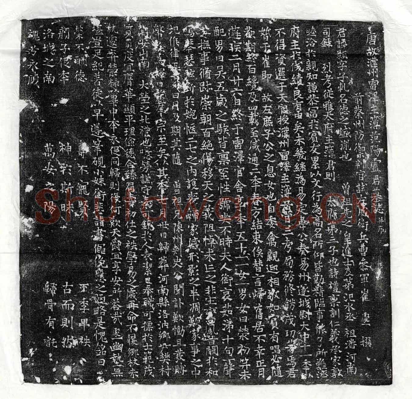 唐卢颢墓誌(唐故濮州雷泽主簿范阳卢君墓誌并序)