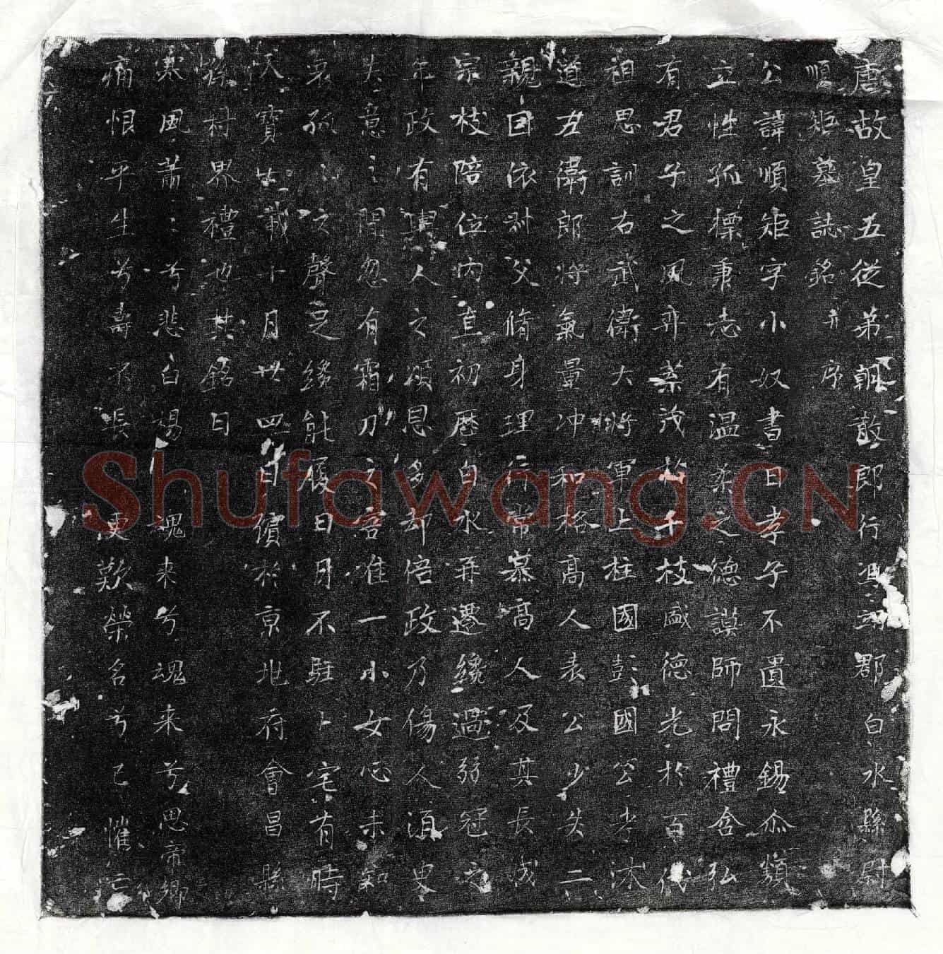 唐李顺矩墓誌(唐故皇五从弟朝散郎行冯翊郡白水县尉顺矩墓誌铭并序)