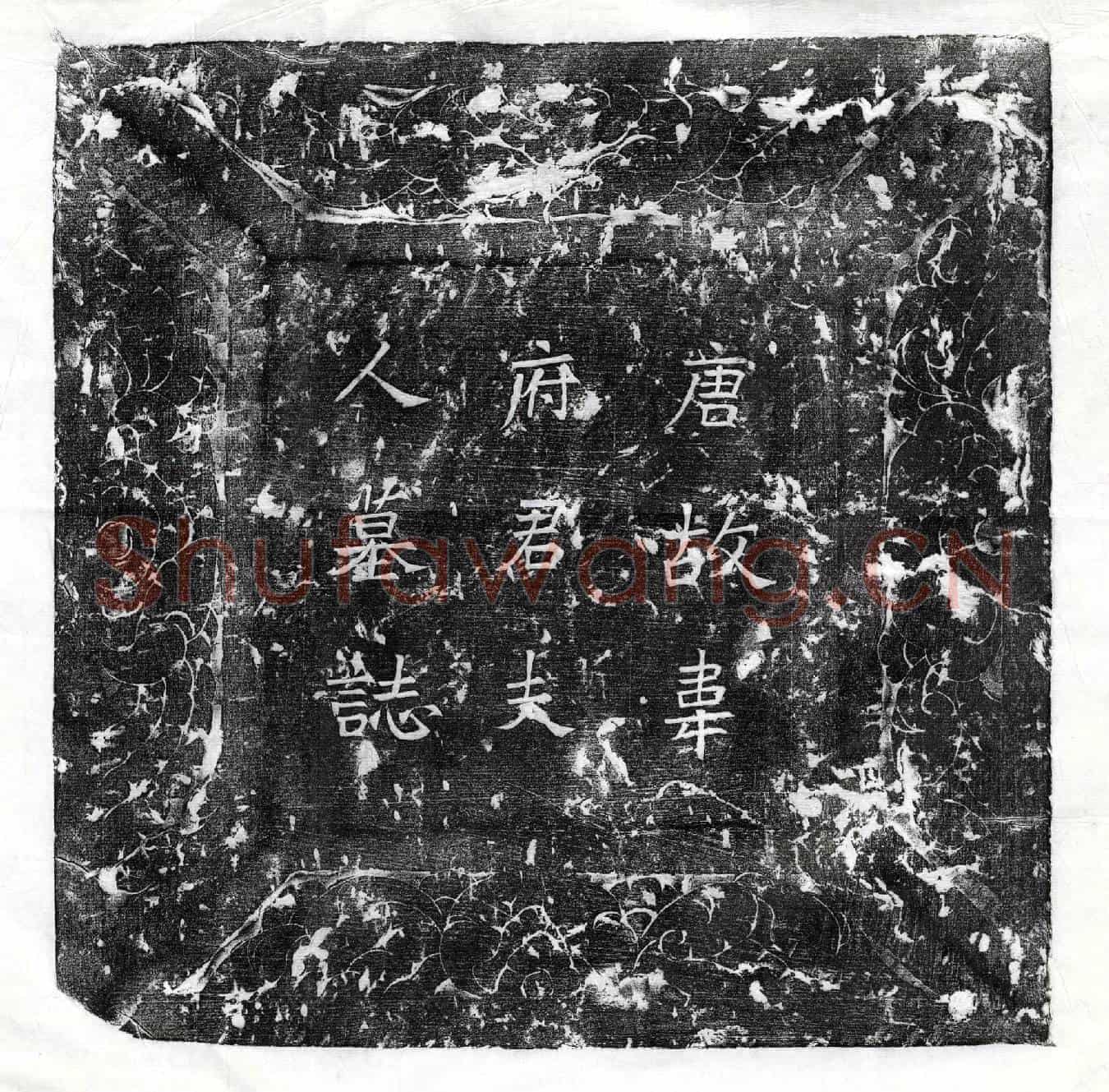 唐韦君妻冯氏墓誌(大唐故眉州录事参军韦府君夫人墓誌铭并序)