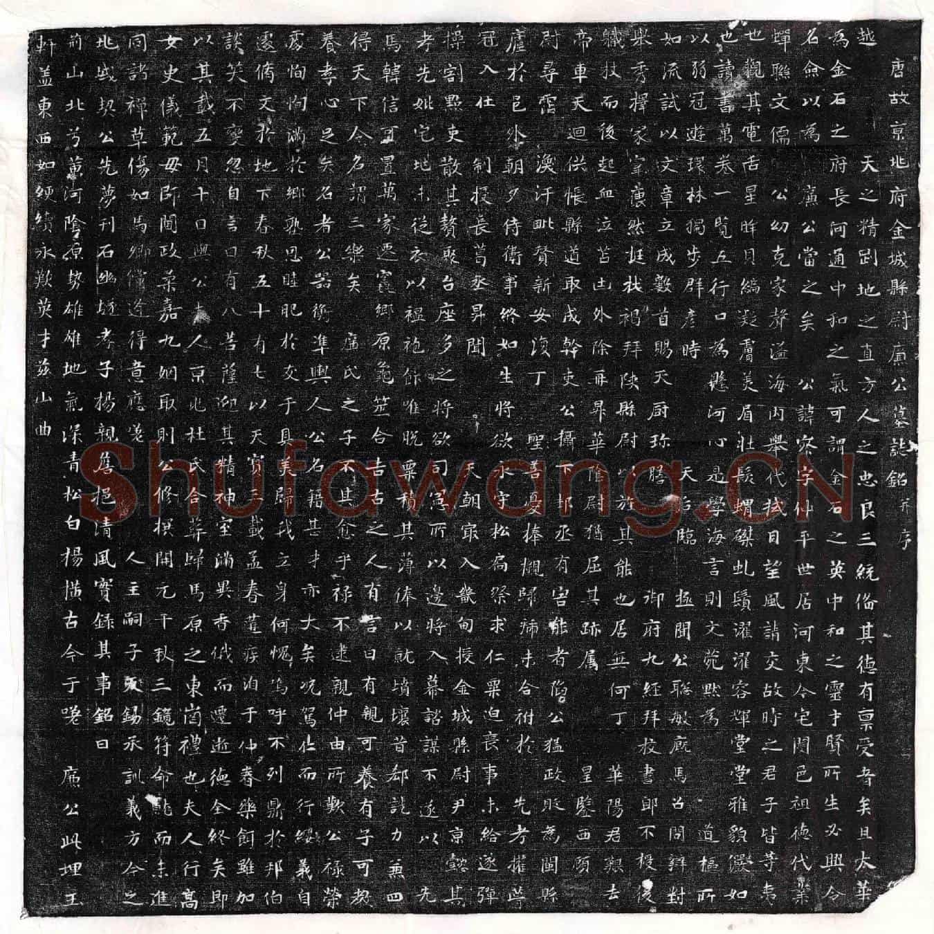 唐廉察墓誌(唐故京兆府金城县尉廉公墓誌铭并序)