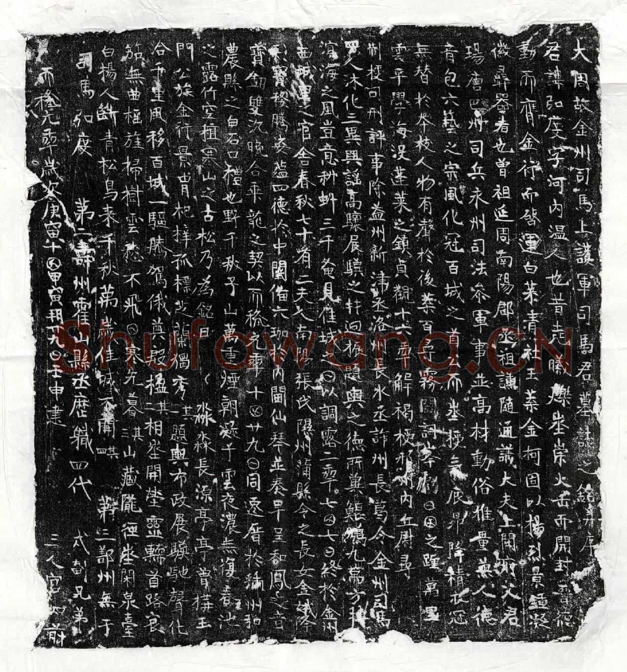唐司马弘度墓誌(大周故金州司马上护军司马君墓誌之铭并序)