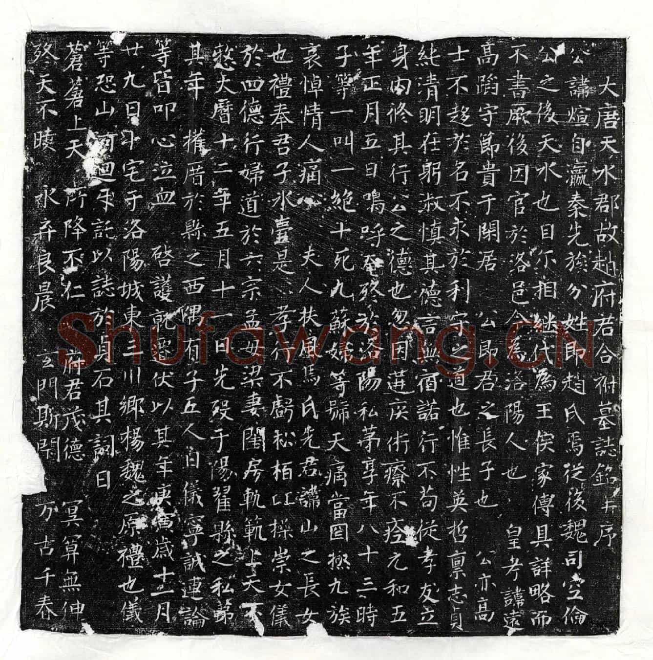 唐赵煊墓誌(大唐天水郡故赵府君合祔墓誌铭并序)