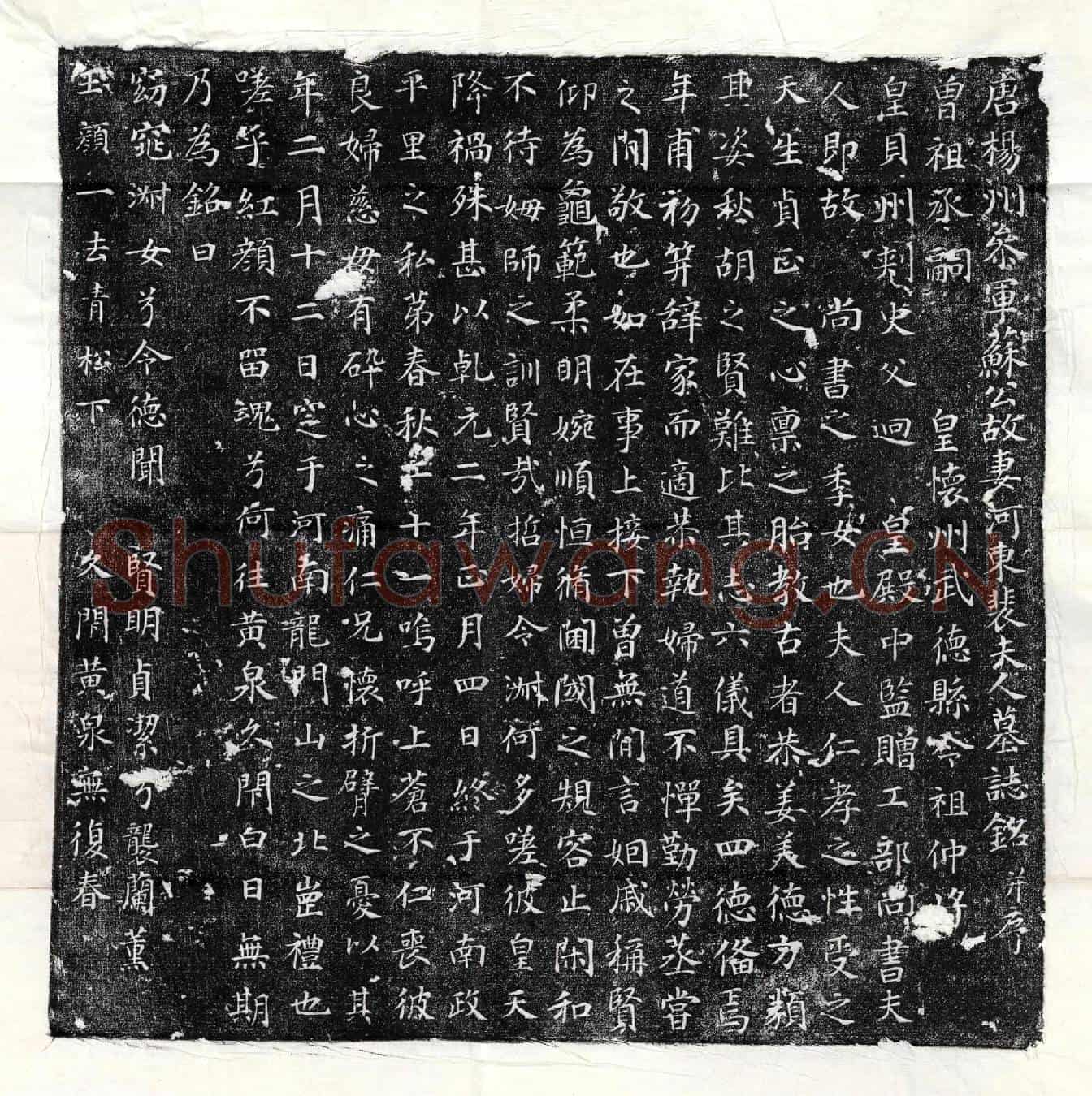 唐苏君妻裴氏墓誌(唐扬州参军苏公故妻河东裴夫人墓誌铭并序)