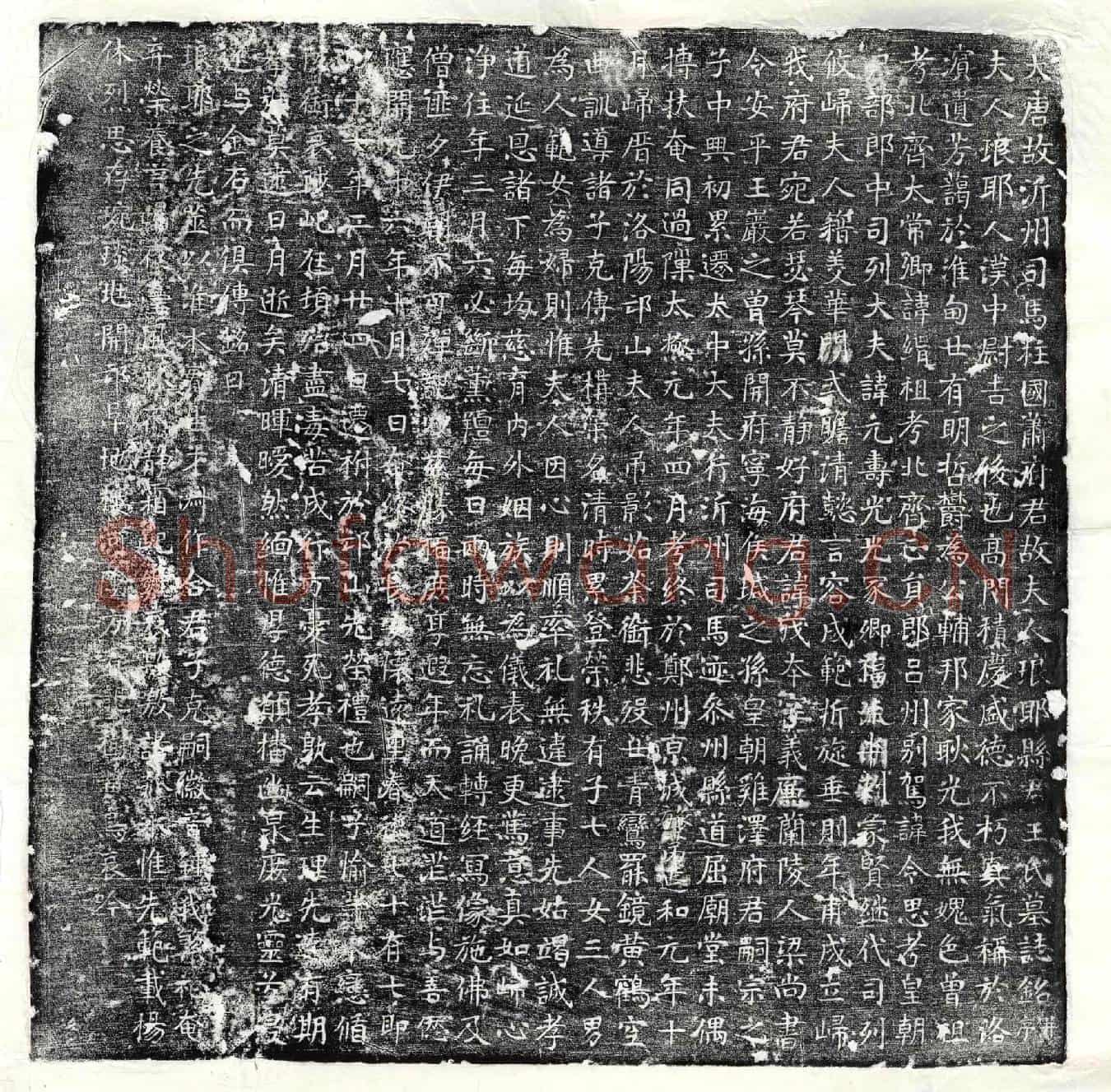 唐萧茂本妻王氏墓誌(大唐故沂州司马柱国萧府君故夫人琅耶县君王氏墓誌铭并序)