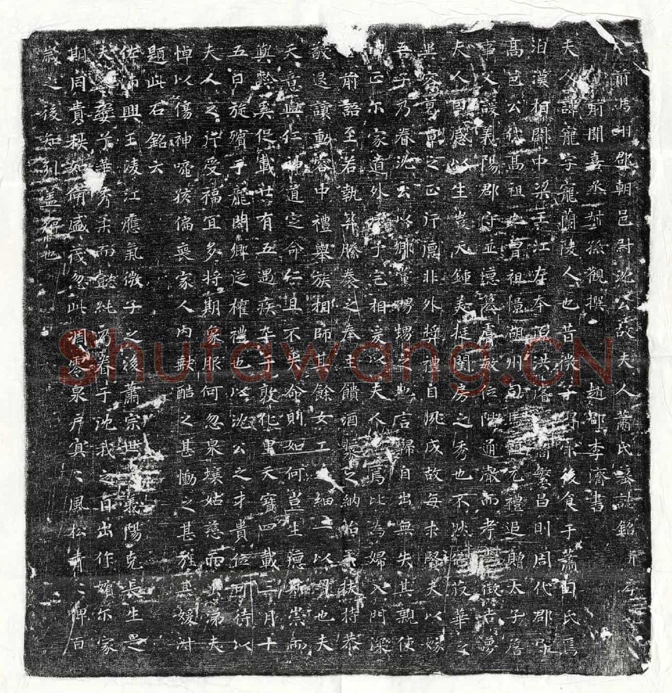 唐沈君妻萧宠墓誌(前冯翊郡朝邑尉沈公故夫人萧氏墓誌铭并序)
