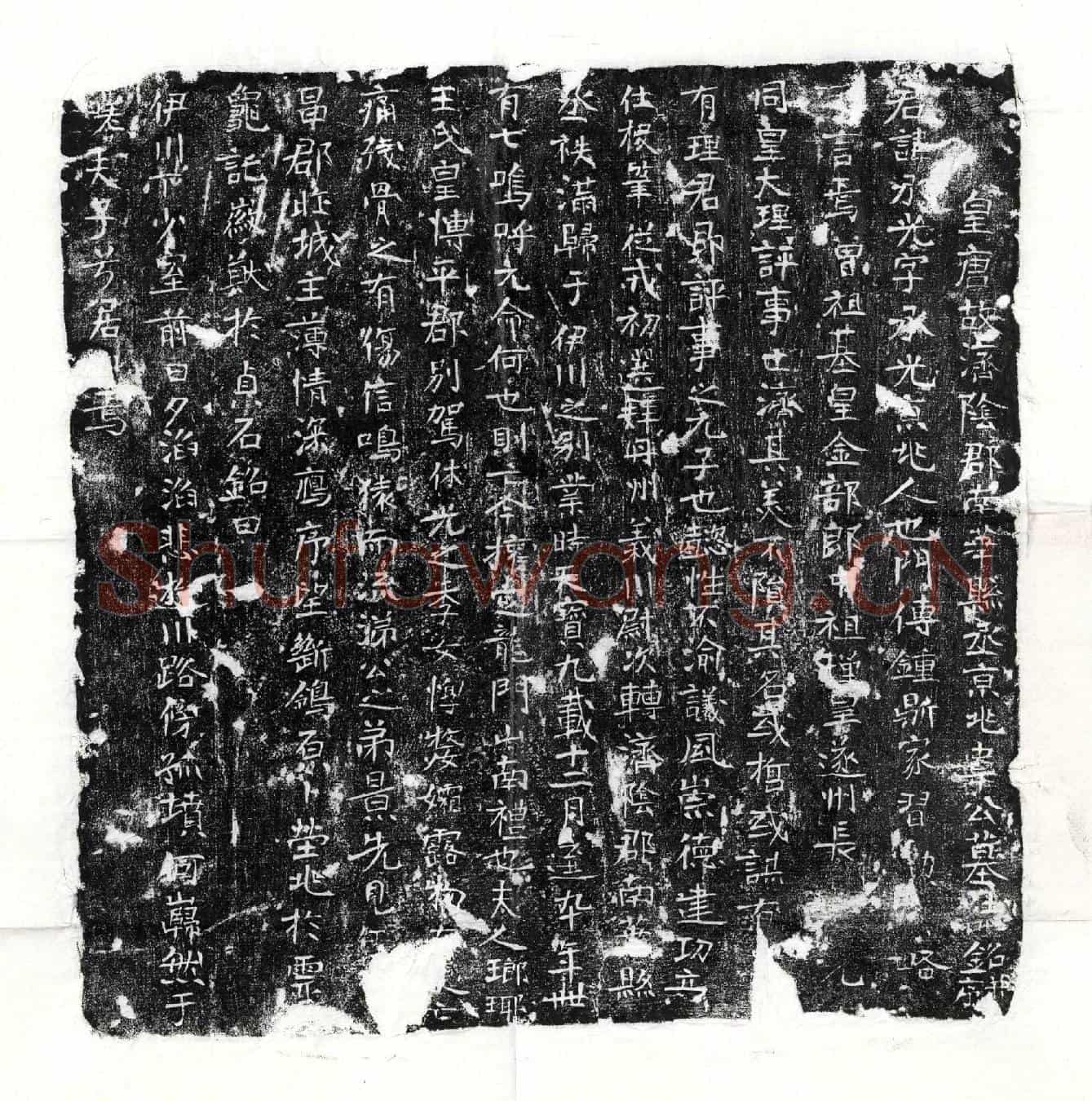 唐韦承光墓誌(皇唐故济阴郡南华县丞京兆韦公墓誌铭并序)