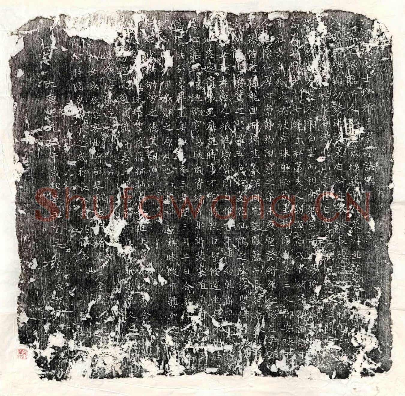 唐王之操墓誌(大唐故处士瑯瑘王君墓誌铭并序)