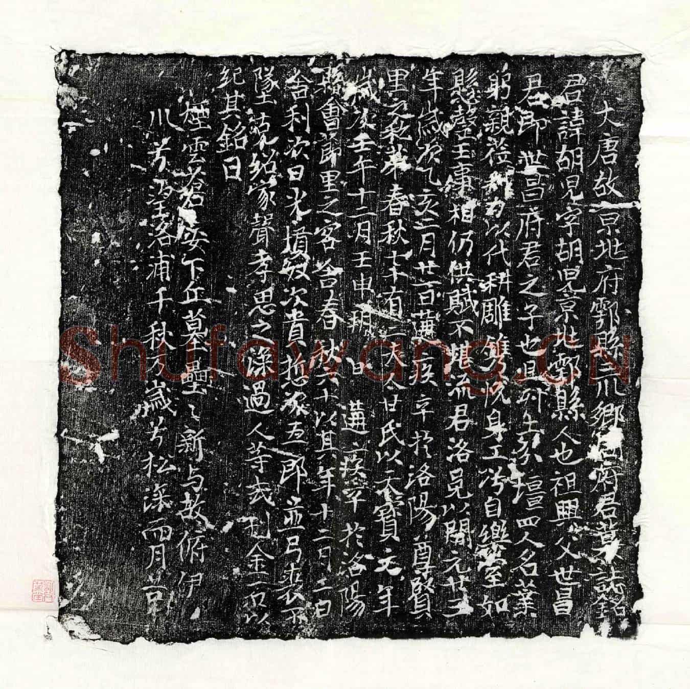 唐周胡儿墓誌(大唐故京兆府鄠县三川乡周府君墓誌铭)
