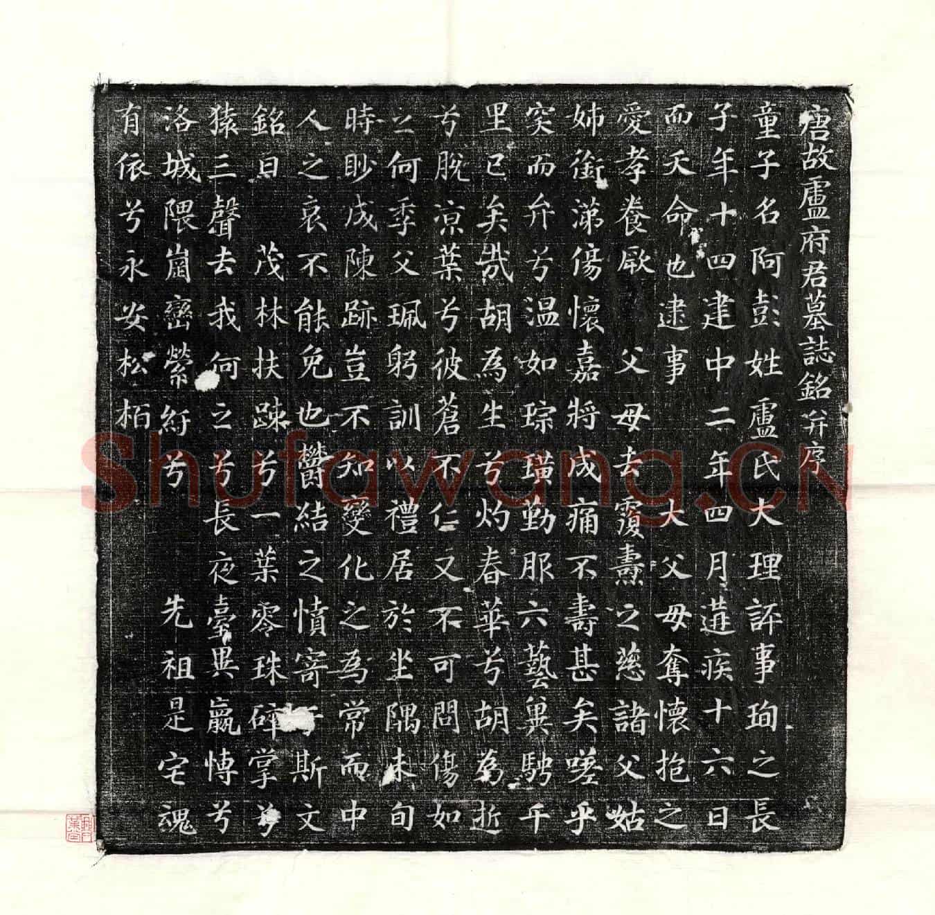 唐卢阿彭墓誌(唐故卢府君墓誌铭并序)