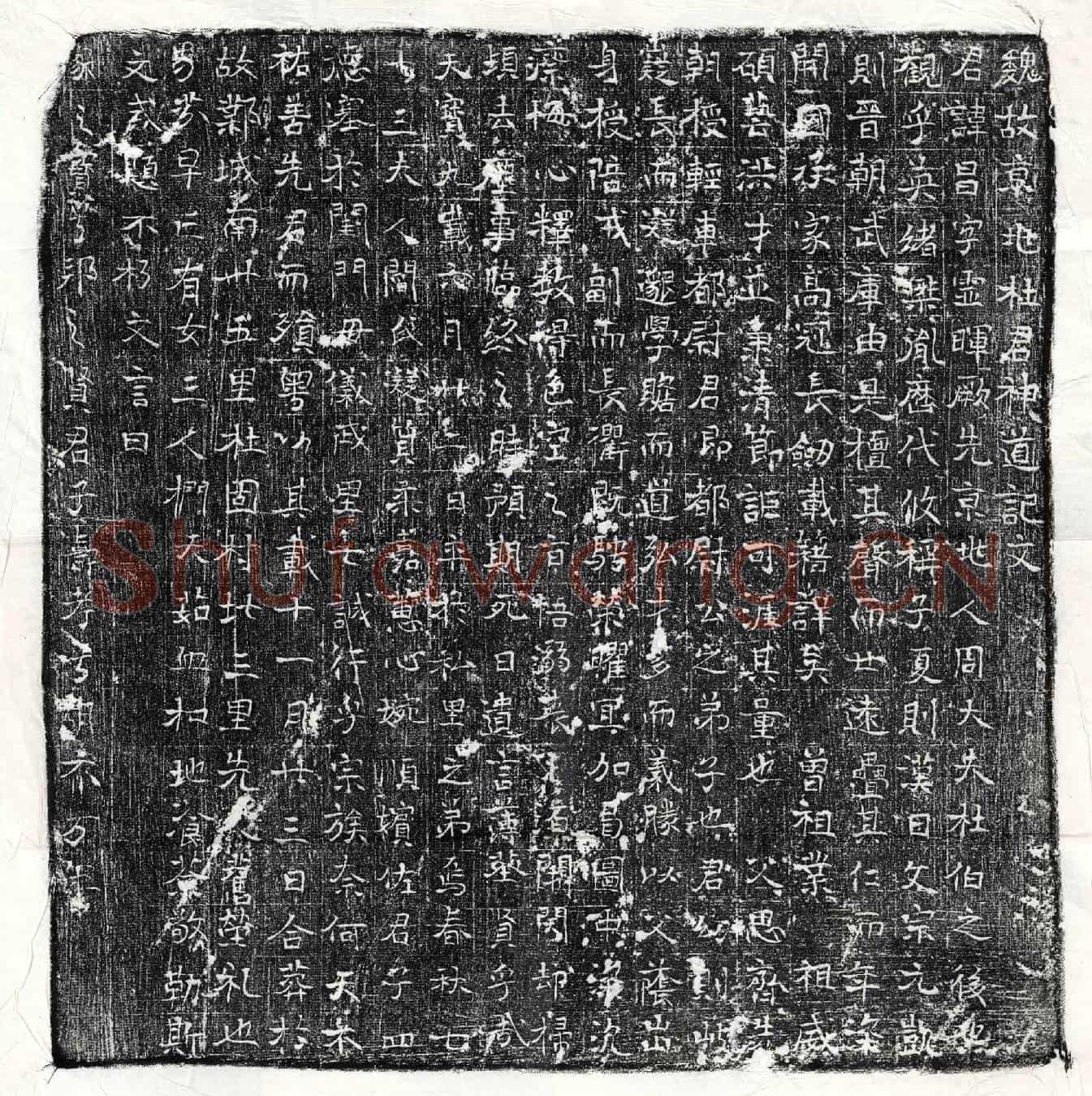 唐杜昌墓誌(魏故京兆杜君神道记文)