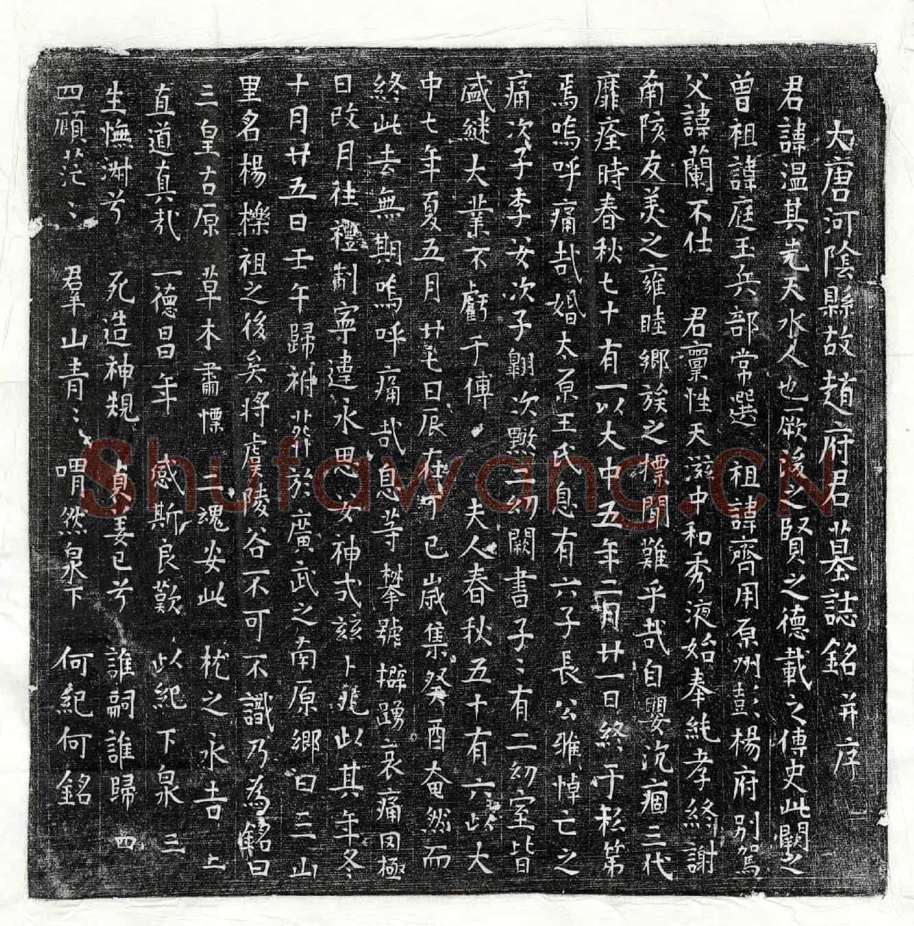 唐赵温墓誌(大唐河阴县故赵府君墓誌铭并序)