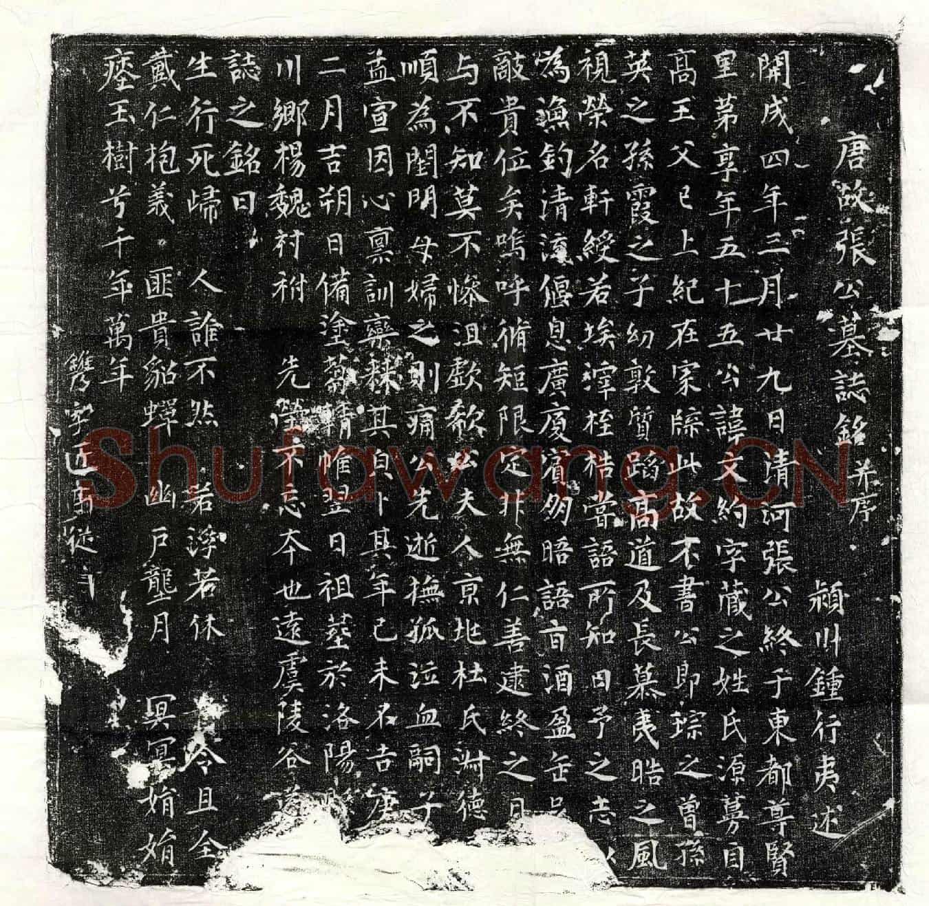 唐张文约墓誌(唐故张公墓誌铭并序)
