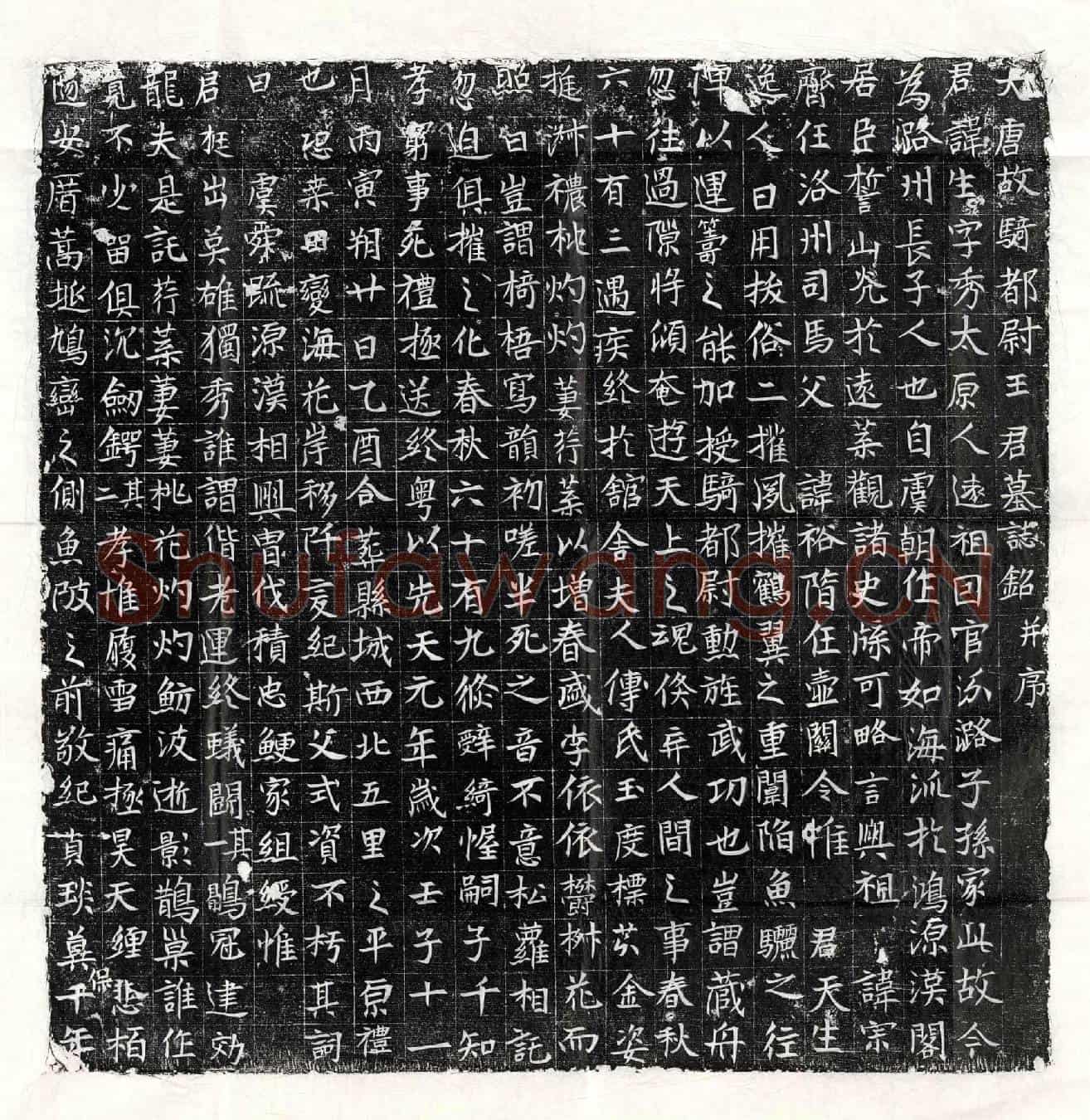 唐王生墓誌(大唐故骑都尉王君墓誌铭并序)