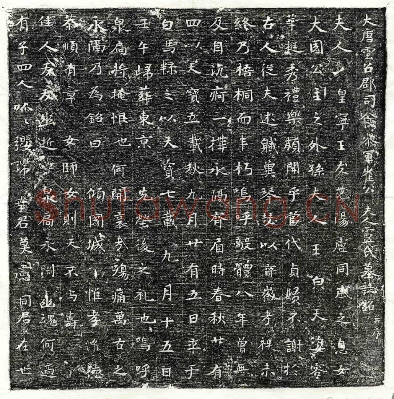 唐崔君妻卢氏墓誌(大唐云召郡司仓参军崔公夫人卢氏墓誌铭并序)