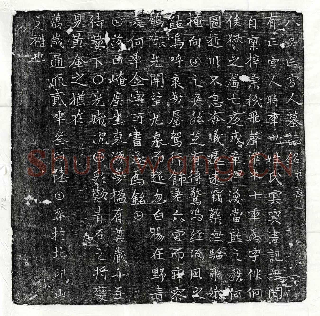 唐八品宫人墓誌(八品亡宫人墓誌铭并序)
