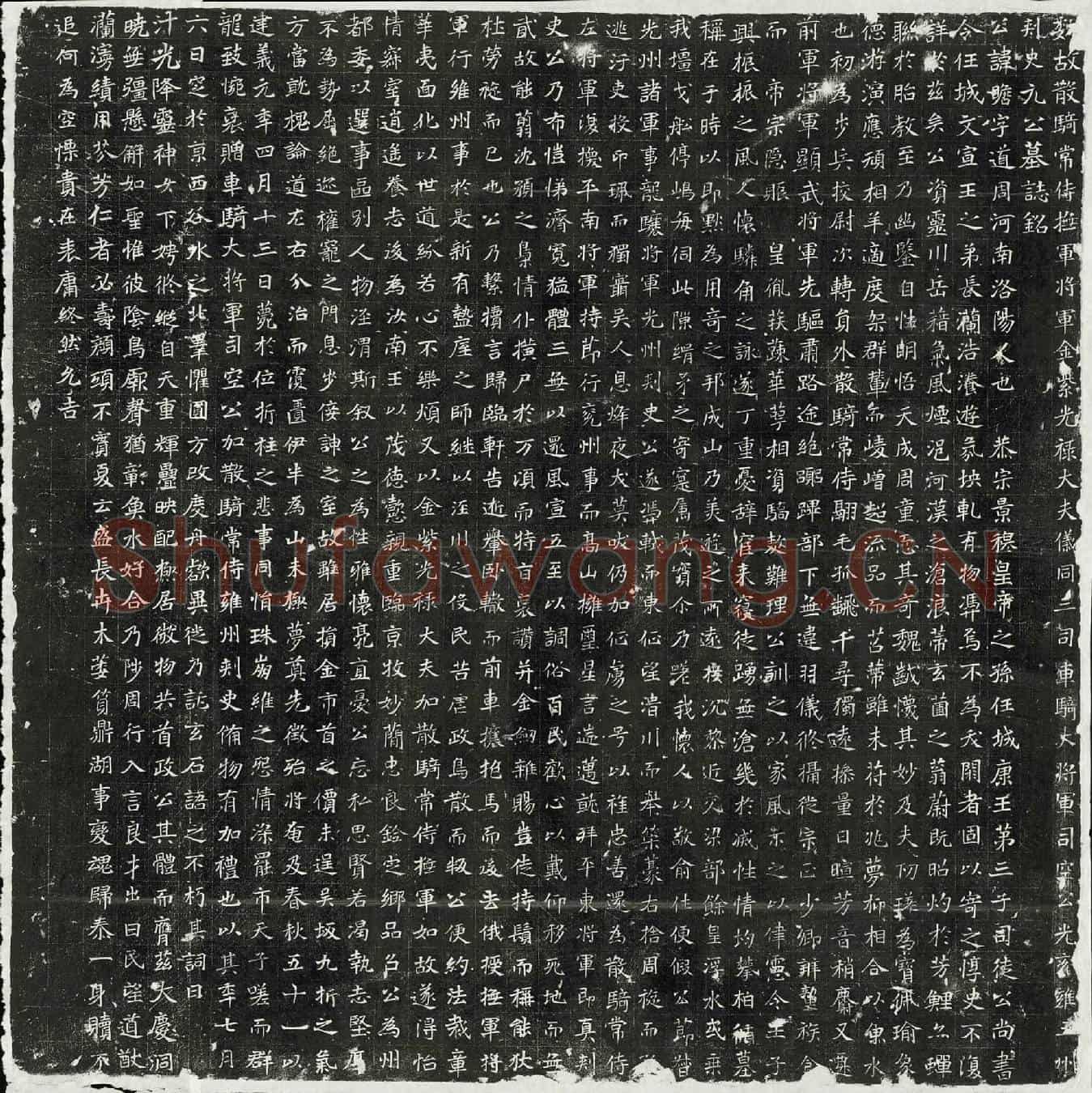 北朝元瞻墓誌(魏故散骑常侍抚军将军金紫光禄大夫仪同三司车骑大将军司空公光兖雍三州刺史元公墓誌铭)