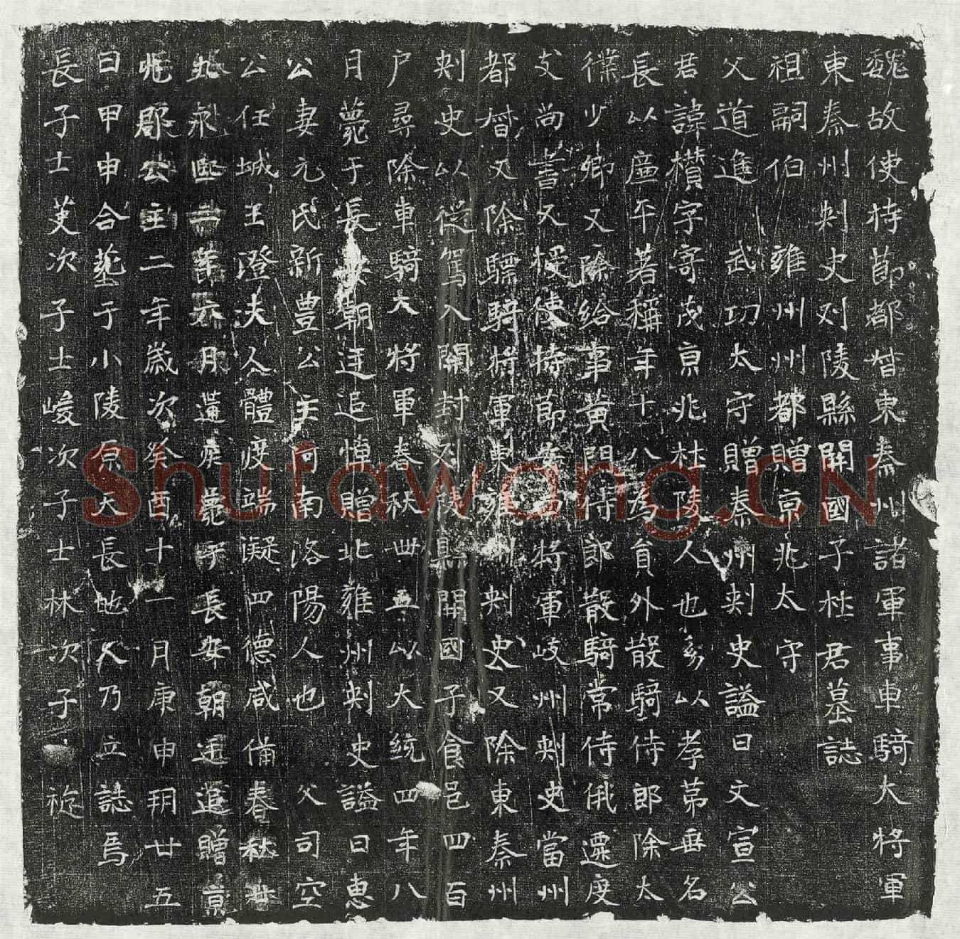 北朝杜欑墓誌(魏故使持节都督东秦州诸军事车骑大将军东秦州刺史刈陵县开国子杜君墓誌)