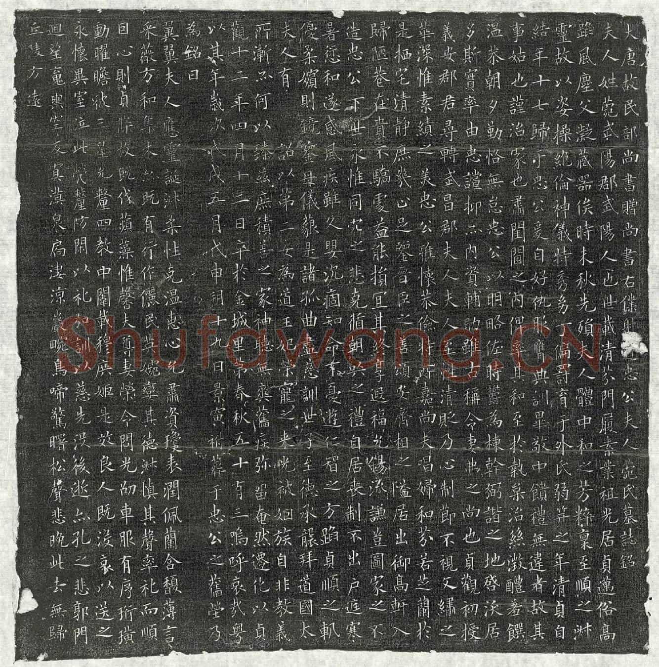 唐戴胄妻菀氏墓誌(大唐故民部尚书赠尚书右僕射道忠公夫人菀氏墓誌铭)