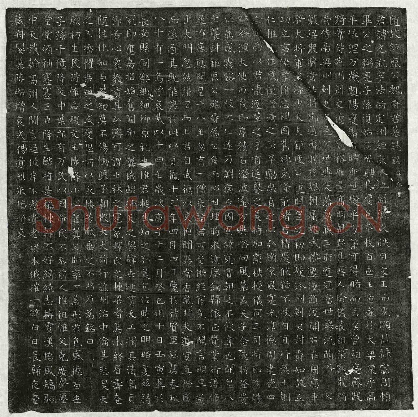 唐魏元凯墓誌(随故鉅鹿公魏府君墓誌铭并序)