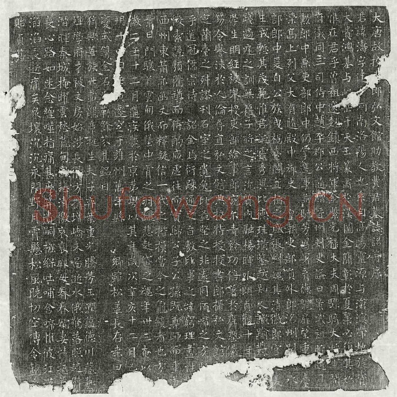 唐费涛墓誌(大唐故校书郎弘文馆助教费君墓誌铭并序)