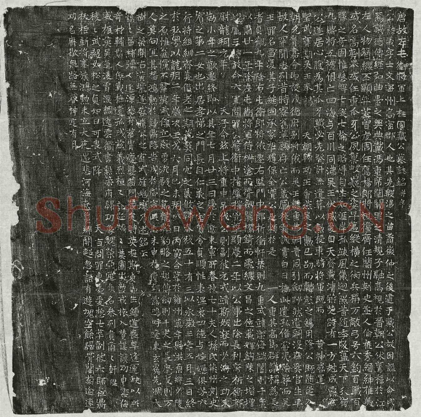 唐戴义墓誌(唐故左屯卫将军上柱国戴公墓誌铭并序)