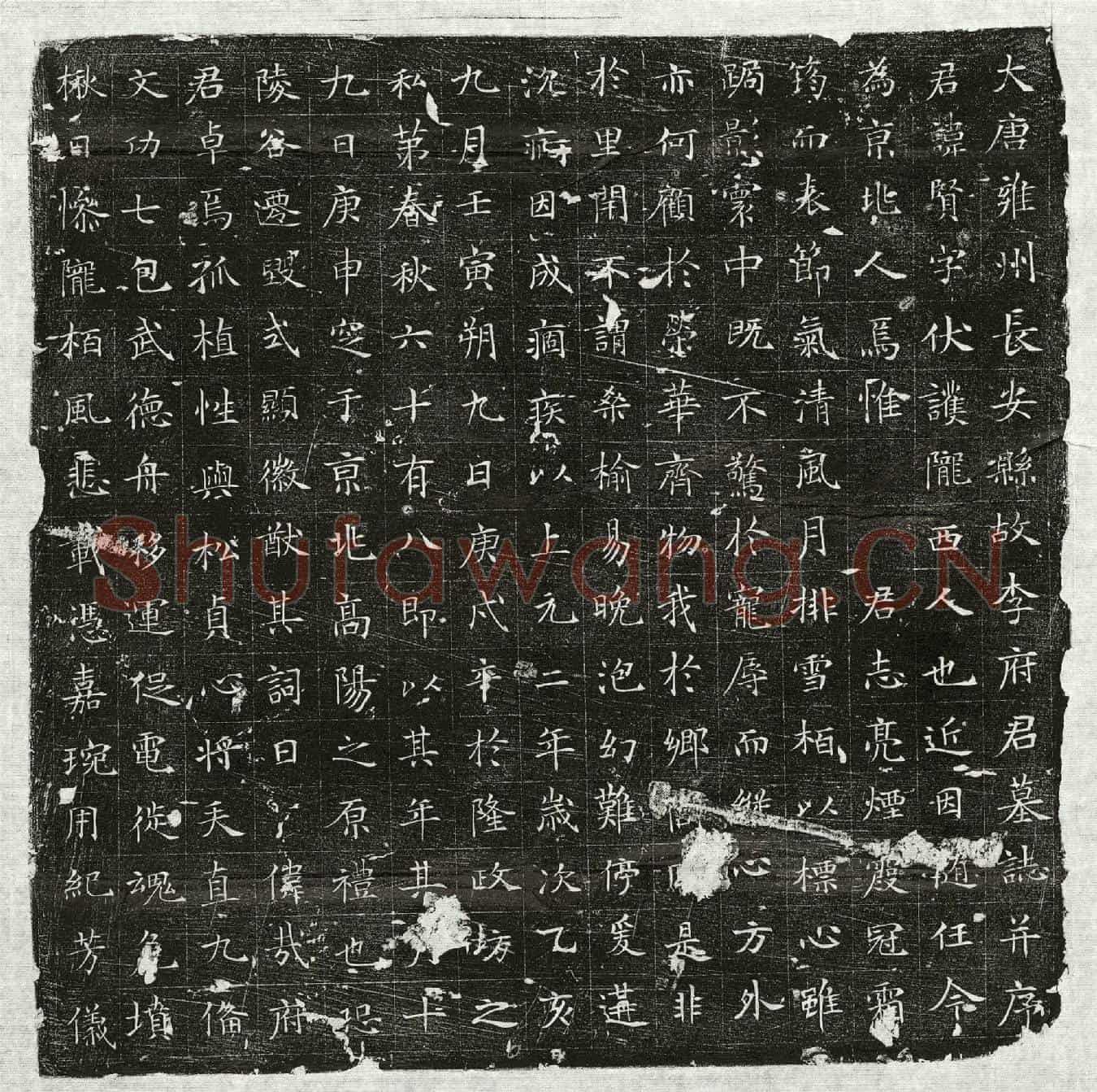 唐李贤墓誌(大唐雍州长安县故李府君墓誌并序)