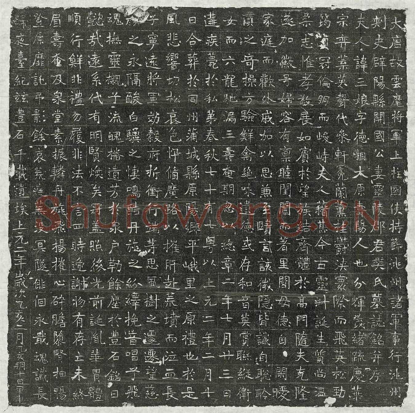 唐□君妻樊三娘墓誌(大唐故云麾将军上柱国使持节洮州诸军事行洮州刺史辟阳县开国公妻灵陵郡君樊氏墓誌铭并序)